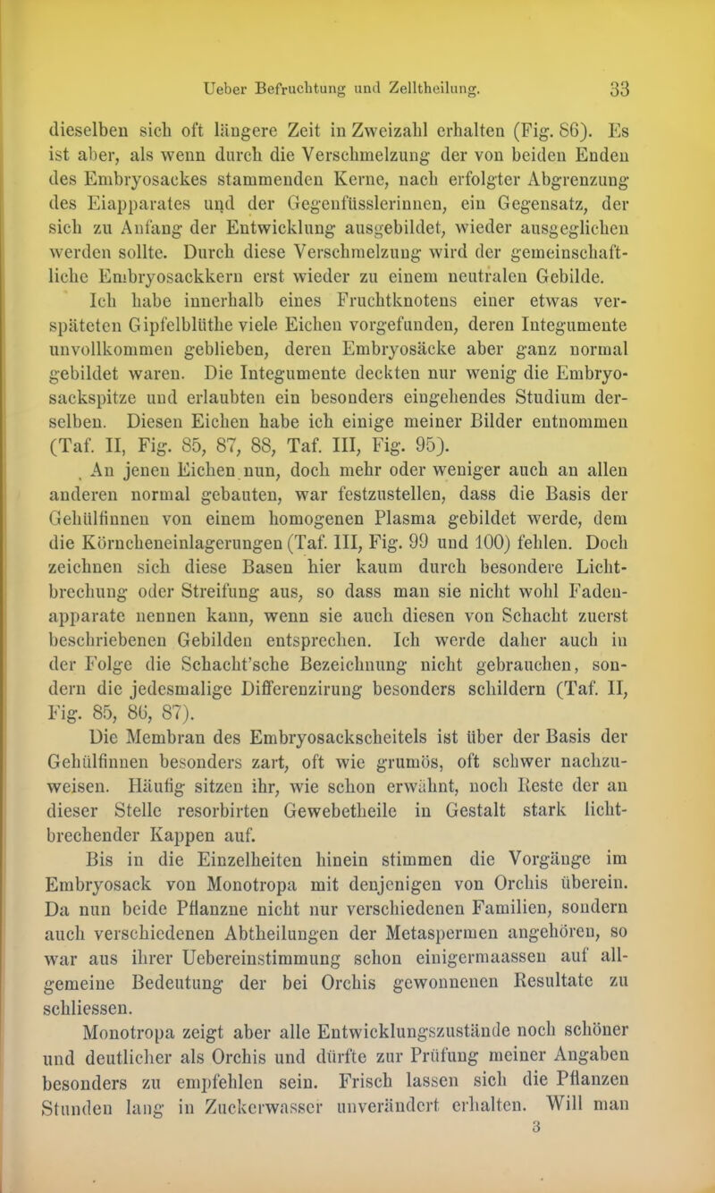 dieselben sich oft längere Zeit in Zweizalil erhalten (Fig. 86). Es ist aber, als wenn durch die Verschmelzung der von beiden Enden des Enibryosackes stammenden Kerne, nach erfolgter Abgrenzung des Eiapparates und der Gegenfüsslerinnen, ein Gegensatz, der sich zu Anfang der Entwicklung ausgebildet, wieder ausgeglichen werden sollte. Durch diese Verschmelzung wird der gemeinschaft- liche Embryosackkern erst wieder zu einem neutralen Gebilde. Ich habe innerhalb eines Fruchtknotens einer etwas ver- späteten Gipfelblüthe viele Eichen vorgefunden, deren Integumente unvollkommen geblieben, deren Embryosäcke aber ganz normal gebildet waren. Die Integumente deckten nur wenig die Embryo- sackspitze und erlaubten ein besonders eingehendes Studium der- selben. Diesen Eichen habe ich einige meiner Bilder entnommen (Taf. II, Fig. 85, 87, 88, Taf. III, Fig. 95). An jenen Eichen nun, doch mehr oder weniger auch an allen anderen normal gebauten, war festzustellen, dass die Basis der Gehültinnen von einem homogenen Plasma gebildet werde, dem die Körncheneinlagerungen (Taf. III, Fig. 99 und 100) fehlen. Doch zeichnen sich diese Basen hier kaum durch besondere Licht- brechung oder Streifung aus, so dass man sie nicht wohl Faden- apparate nennen kann, wenn sie aueh diesen von Schacht zuerst beschriebenen Gebilden entsprechen. Ich werde daher auch in der I’olge die Sehaeht’sche Bezeichnung nicht gebrauchen, son- dern die jedesmalige Differenzirung besonders schildern (Taf. II, Fig. 85, 86, 87). Die Membran des Embryosaekscheitels ist über der Basis der Gehültinnen besonders zart, oft wie grumös, oft schwer nachzu- weisen. Häutig sitzen ihr, wie schon erwähnt, noch Beste der an dieser Stelle resorbirten Gewebetheile in Gestalt stark licht- brechender Kappen auf. Bis in die Einzelheiten hinein stimmen die Vorgänge im Embryosaek von Monotropa mit denjenigen von Orchis überein. Da nun beide PÜanzne nicht nur verschiedenen Familien, sondern auch verschiedenen Abtheilungen der Metaspermen angehören, so war aus ihrer Uebereinstimmung schon einigermaassen auf all- gemeine Bedeutung der bei Orchis gewonnenen Resultate zu schliessen. Monotropa zeigt aber alle Entwicklungszustände noch schöner und deutlicher als Orchis und dürfte zur Prüfung meiner Angaben besonders zu empfehlen sein. Frisch lassen sich die Pflanzen Stunden laug in Zuckerwasser unverändert erhalten. Will man 3
