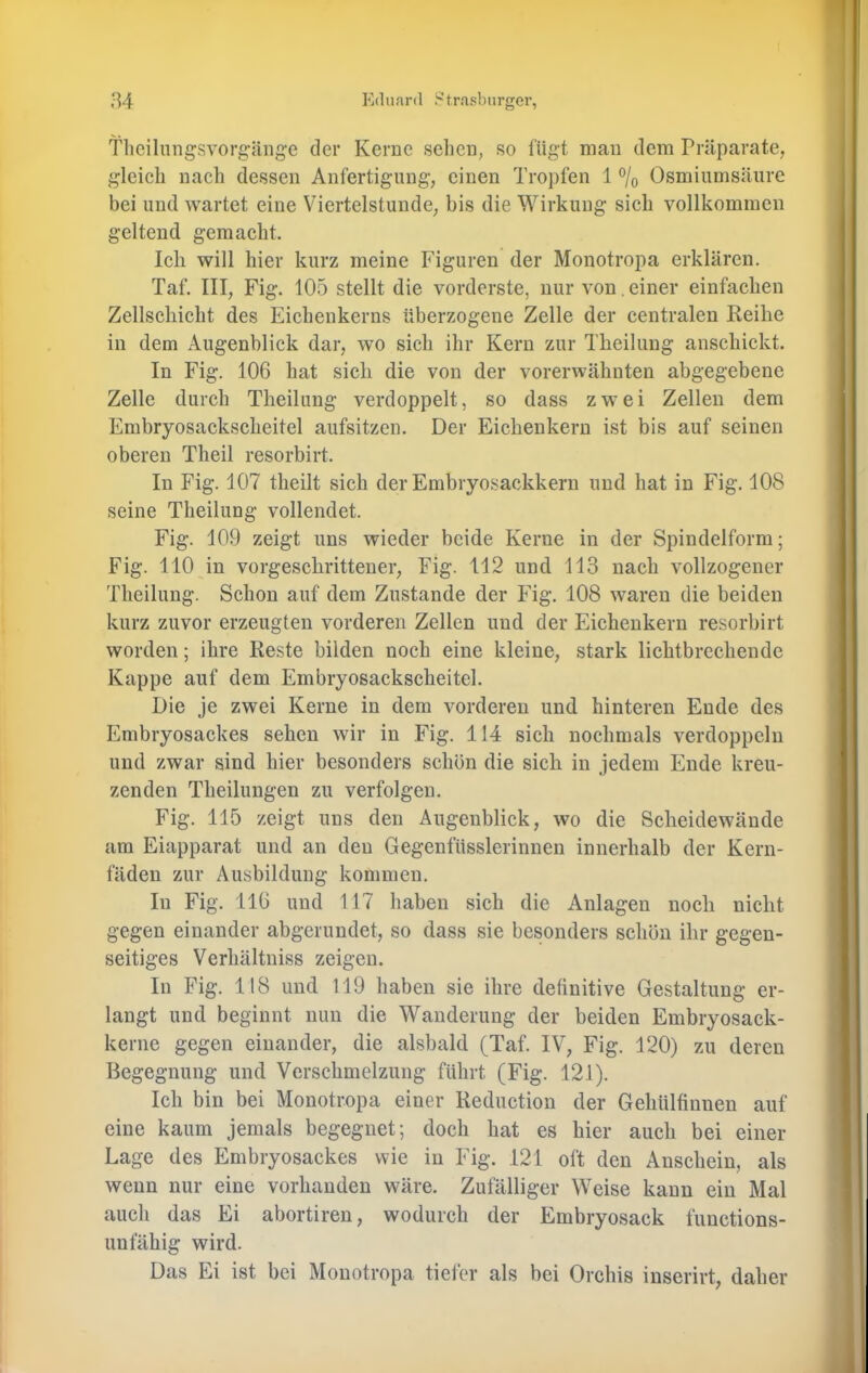 tlicilungsvorg'äiige der Kerne sehen, so fügt man dem Präparate, gleich nach dessen Anfertigung, einen Tropfen 1 % Osmiumsäiire bei und wartet eine Viertelstunde, bis die Wirkung sich vollkommen geltend gemacht. Ich will hier kurz meine Figuren der Monotropa erklären. Taf. III, Fig. 105 stellt die vorderste, nur von,einer einfachen Zellschicht des Eichenkerns überzogene Zelle der centralen Reihe in dem Augenblick dar, wo sich ihr Kern zur Theilung anschickt. In Fig. 106 hat sich die von der vorerwähnten abgegebene Zelle durch Theilung verdoppelt, so dass zwei Zellen dem Embryosackscheitel aufsitzen. Der Eichenkern ist bis auf seinen oberen Theil resorbirt. In Fig. 107 theilt sich der Embryosackkern und hat in Fig. 108 seine Theilung vollendet. Fig. 109 zeigt uns wieder beide Kerne in der Spindelform; Fig. 110 in vorgeschrittener, Fig. 112 und 113 nach vollzogener Theilung. Schon auf dem Zustande der Fig. 108 waren die beiden kurz zuvor erzeugten vorderen Zellen und der Eichenkern resorbirt worden; ihre Reste bilden noch eine kleine, stark lichtbrechende Kappe auf dem Embryosackscheitel. Die je zwei Kerne in dem vorderen und hinteren Ende des Embryosackes sehen wir in Fig. 114 sich nochmals verdoppeln und zwar sind hier besonders schön die sich in jedem Ende kreu- zenden Theilungen zu verfolgen. Fig. 115 zeigt uns den Augenblick, wo die Scheidewände am Eiapparat und an den Gegenfüsslerinnen innerhalb der Kern- fäden zur Ausbildung kommen. In Fig. 116 und 117 haben sich die Anlagen noch nicht gegen einander abgerundet, so dass sie besonders schön ihr gegen- seitiges Verhältniss zeigen. In Fig. 118 und 119 haben sie ihre definitive Gestaltung er- langt und beginnt nun die Wanderung der beiden Embryosack- kerne gegen einander, die alsbald (Taf. IV, Fig. 120) zu deren Begegnung und Verschmelzung führt (Fig. 121). Ich bin bei Monotropa einer Reduction der Gehülfinnen auf eine kaum jemals begegnet; doch hat es hier auch bei einer Lage des Embryosackes wie in Fig. 121 oft den Anschein, als wenn nur eine vorhanden wäre. Zufälliger Weise kann ein Mal auch das Ei abortiren, wodurch der Embryosack functions- unfähig wird. Das Ei ist bei Monotropa tiefer als bei Orchis inserirt, daher