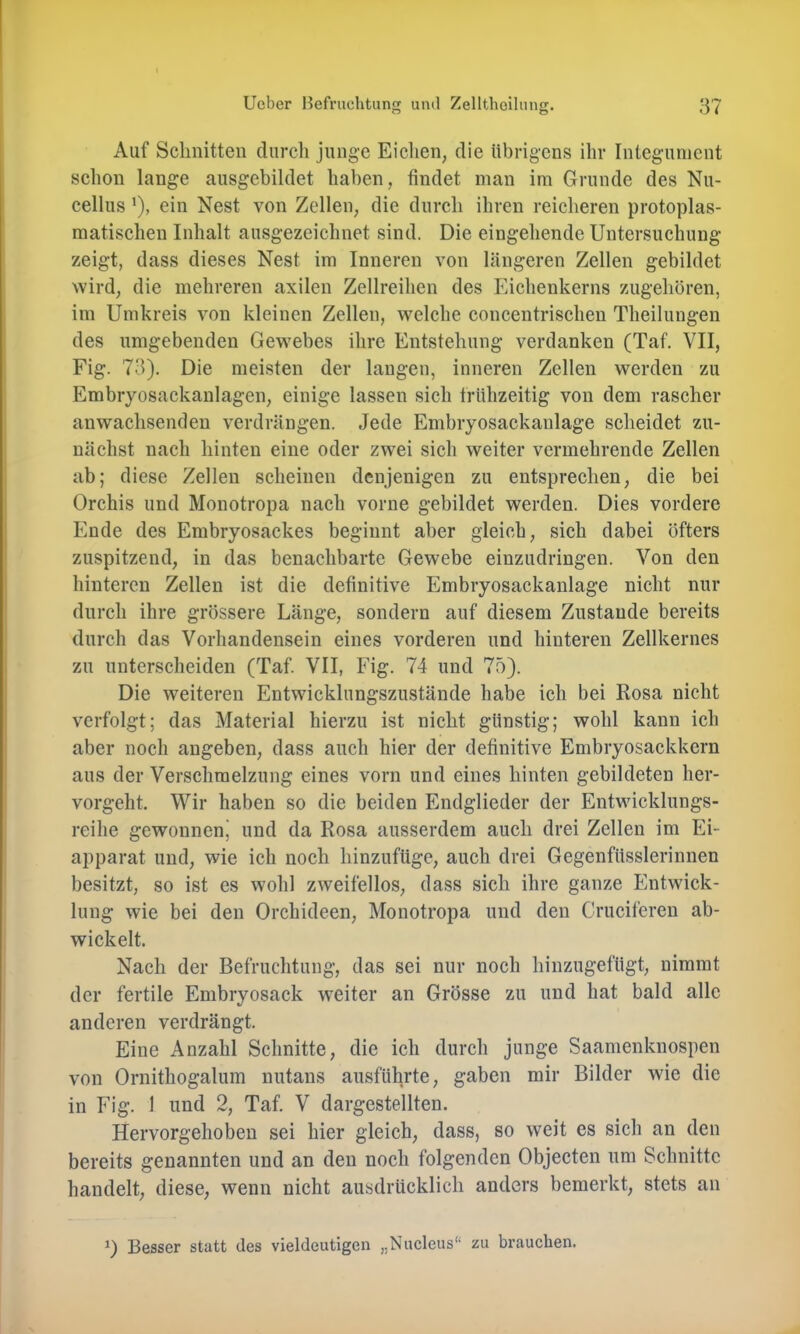 Auf Sclinitteii durch junge Eichen, die übrigens ihr Inlegunient schon lange ausgebildet haben, findet man im Grunde des Nu- cellus ’), ein Nest von Zellen, die durch ihren reicheren protoplas- matischen Inhalt ausgezeichnet sind. Die eingehende Untersuchung zeigt, dass dieses Nest im Inneren von längeren Zellen gebildet wird, die mehreren axilen Zellreihen des Eichenkerns zugehören, im Umkreis von kleinen Zellen, welche concentrischen Theilungen des umgebenden Gewebes ihre Entstehung verdanken (Taf. VII, Fig. 73). Die meisten der langen, inneren Zellen werden zu Embryosackanlagen, einige lassen sich frühzeitig von dem rascher anwachsenden verdrängen. Jede Embryosackanlage scheidet zu- nächst nach hinten eine oder zwei sich weiter vermehrende Zellen ab; diese Zellen scheinen denjenigen zu entsprechen, die bei Orchis und Monotropa nach vorne gebildet werden. Dies vordere Ende des Embryosackes beginnt aber gleich, sich dabei öfters zuspitzend, in das benachbarte Gewebe einzudringen. Von den hinteren Zellen ist die definitive Embryosackanlage nicht nur durch ihre grössere Länge, sondern auf diesem Zustande bereits durch das Vorhandensein eines vorderen und hinteren Zellkernes zu unterscheiden (Taf VII, Fig. 74 und 75). Die weiteren Entwicklungszustände habe ich bei Rosa nicht verfolgt; das Material hierzu ist nicht günstig; wohl kann ich aber noch angeben, dass auch hier der definitive Embryosackkern aus der Verschmelzung eines vorn und eines hinten gebildeten her- vorgeht. Wir haben so die beiden Endglieder der Entwicklungs- reihe gewonnen’ und da Rosa ausserdem auch drei Zellen im Ei- apparat und, wie ich noch hinzufüge, auch drei Gegenfüsslerinnen besitzt, so ist es wohl zweifellos, dass sich ihre ganze Entwick- lung wie bei den Orchideen, Monotropa und den Cruciferen ab- wickelt. Nach der Befruchtung, das sei nur noch hinzugefügt, nimmt der fertile Embryosack weiter an Grösse zu und hat bald alle anderen verdrängt. Eine Anzahl Schnitte, die ich durch junge Saamenknospen von Ornithogalum nutans ausführte, gaben mir Bilder wie die in Fig. 1 und 2, Taf V dargestellten. Hervorgehoben sei hier gleich, dass, so weit es sich an den bereits genannten und an den noch folgenden Objecten um Schnitte handelt, diese, wenn nicht ausdrücklich anders bemerkt, stets an