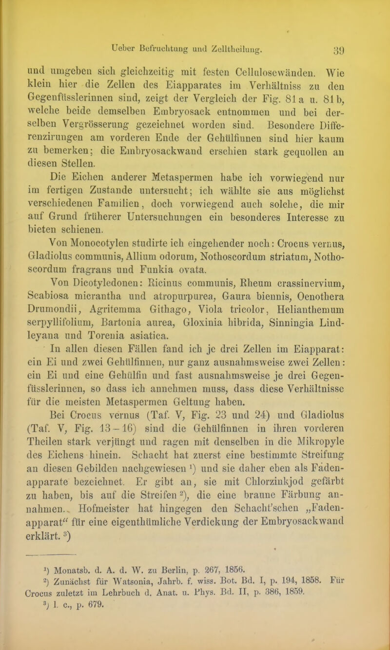 und imig-cbcii sich gleichzeitig mit festen Cellulose wänden. Wie klein hier die Zellen des Eiapparates im Verhältniss zu den Gegenfüsslerinnen sind, zeigt der Vergleich der Fig. 81a u. 81b, welche beide demselben Eiubryosack entnommen und bei der- selben Vergrösserung gezeichnet worden sind. Besondere Diffe- renzirungen am vorderen Ende der Gehtilfinnen sind hier kaum zu bemerken; die Embryosackwand erschien stark gequollen an diesen Stellen. Die Eichen anderer Metaspermen habe ich vorwiegend nur im fertigen Zustande untersucht; ich wählte sie aus möglichst verschiedenen Familien, doch vorwiegend auch solche, die mir auf Grund früherer Untersuchungen ein besonderes Interesse zu bieten schienen. Von Monocotylen studirte ich eingehender noch: Crocus vernus, Gladiolus communis, Allium odorum, Nothoscordum striatum, Notho- scordum fragrans und Funkia ovata. Von Dicotyledonen: Ricinus communis, Rheum crassinervium, Scabiosa micrantha und atropurpurea, Gaura biennis, Oenothera Drumondii, Agritemma Githago, Viola tricolor, Helianthemum serpyllifolium, Bartonia aurea, Gloxinia hibrida, Sinningia Lind- leyana und Torenia asiatica. In allen diesen Fällen fand ich je drei Zellen im Eiapparat: ein Ei und zwei Gehülfinnen, nur ganz ausnahmsweise zwei Zellen: ein Ei und eine Gehülfin und fast ausnahmsweise je drei Gegen- flisslerinnen, so dass ich annehmeu muss, dass diese Verhältnisse für die meisten Metaspermen Geltung haben. Bei Crocus vernus (Taf. V, Fig. 23 und 24) und Gladiolus (Taf. V, Fig. 13 —IG) sind die Gehülfinnen in ihren vorderen Theileu stark verjüngt und ragen mit denselben in die Mikropyle des Eichens hinein. Schacht hat zuerst eine bestimmte Streifung an diesen Gebilden nachgewiesen ‘) und sie daher eben als Fäden- apparate bezeichnet. Er gibt an, sie mit Chlorzinkjod gefärbt zu haben, bis auf die Streifen die eine braune Färbung an- nalimen.. Hofmeister hat hingegen den Schacht’schen „Faden- apparat^^ für eine eigenthümliche Verdickung der Embryosackwaud erklärt. Monatsb. d. A. d. W. zu Berlin, p. 267, 1856. “) Zunächst für Watsonia, Jahrb. f. wiss. Bot. Bd. I, p. 194, 1858. Für Crocus zuletzt im Lehrbuch d. Anat. u. Bhys. Bd. II, p. 386, 1859. 1. c., p. 679.