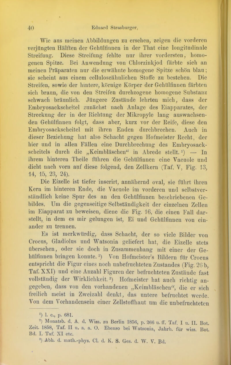 Wie ans meinen Abbildungen zu ersehen, zeigen die vorderen verjüngten Hälften der Gehülfinnen in der That eine longitudinale Streifung. Diese Streifung fehlte nur ihrer vordersten, homo- genen Spitze. Bei Anwendung von Chlorzinkjod färbte sich an meinen Präparaten nur die erwähnte homogene Spitze schön blau; sie scheint aus einem celluloseähulichen Stoffe zu bestehen. Die Streifen, sowie der hintere, körnige Körper der Gehülfinnen färbten sich braun, die von den Streifen durchzogene homogene Substanz schwach bräunlich. Jüngere Zustände lehrten mich, dass der Embryosackscheitel zunächst nach Anlage des Eiapparates, der Streckung der in der Richtung der Mikropyle lang auswachsen- den Gehülfinnen folgt, dass aber, kurz vor der Reife, diese den Embryosackscheitel mit ihren Enden durchbrechen. Auch in dieser Beziehung hat also Schacht gegen Hofmeister Recht, der hier und in allen Fällen eine Durchbrechung des Embryosack- scheitels durch die „Keimbläschen^^ in Abrede stellt. — In ihrem hinteren Theile führen die Gehülfinnen eine Vacuole und dicht nach vorn auf diese folgend, den Zellkern (Taf. V, Fig. 13, 14, 15, 23, 24). Die Eizelle ist tiefer inserirt, annähernd oval, sie führt ihren Kern im hinteren Ende, die Vacuole im vorderen und selbstver- ständlich keine Spur des an den Gehülfinnen beschriebenen Ge- bildes. Um die gegenseitige Selbständigkeit der einzelnen Zellen im Eiapparat zu beweisen, diene die Fig. 16, die einen Fall dar- stellt, in dem es mir gelungen ist, Ei und Gehülfinnen von ein- ander zu trennen. Es ist merkwürdig, dass Schacht, der so viele Bilder von Crocus, Gladiolus und Watsonia geliefert hat, die Eizelle stets übersehen, oder sie doch in Zusammenhang mit einer der Ge- hülfinnen bringen konnte. -) Von Hofmeister’s Bildern für Crocus entspricht die Figur eines noch unbefruchteten Zustandes (Fig. 26 b, Taf. XXI) und eine Anzahl Figuren der befruchteten Zustände fast vollständig der Wirklichkeit. 3) Hofmeister hat auch richtig an- gegeben, dass von den vorhandenen „Keimbläschen'^, die er sich freilich meist in Zweizahl denkt, das untere befruchtet werde. Von dem Vorhandensein einer Zellstoffhaut um die unbefruchteten ^) 1. c., p. 681. 2) Monatsb. d. A. d. Wiss. zu Berlin 1856, p. 266 u. If. Taf. I u. II. Bot. Zeit. 1858, Taf. II u. a. a. O. Ebenso bei Watsonia, Jabrb. für wiss Bot Bd. I. Taf. XI etc. 3) .Abb. d. inatb.-pbys. CI. d. K. S. Ges. d. W. V. Bd.