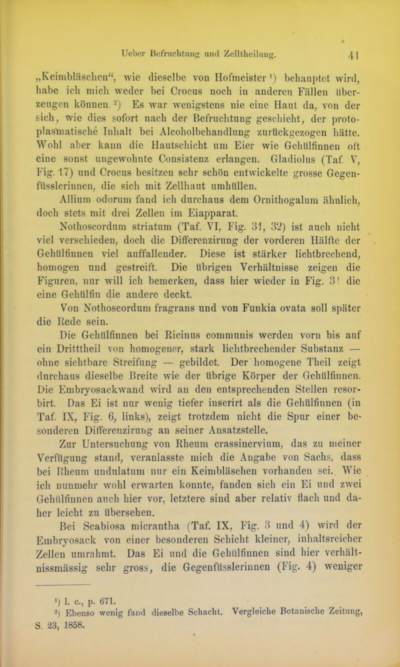 „Keimbläschen“ wie dieselbe von Hofmeister ’) behauptet wird, habe ich mich weder bei Crocus noch in anderen Fällen über- zeugen können. Es war wenigstens nie eine Haut da, von der sich, wie dies sofort nach der Befruchtung geschieht, der proto- plastaatische Inhalt bei Alcoholbehandlung zurückgezogen hätte. Wohl aber kann die Hautschicht um Eier wie Gchülfinnen oft eine sonst ungewohnte Consistenz erlangen. Gladiolus (Taf V, Fig. 17) und Crocus besitzen sehr schön entwickelte grosse Gegen- füsslerinnen, die sich mit Zellhaut umhüllen. Allium odorum fand ich durchaus dem Ornithogalum ähnlich, doch stets mit drei Zellen im Eiapparat. Nothoscordum Striatum (Taf. VI, Fig. 31, 32) ist auch nicht viel verschieden, doch die Differenzirung der vorderen Hälfte der Gehültinnen viel auffallender. Diese ist stärker liehtbrechend, homogen und gestreift. Die übrigen Verhältnisse zeigen die Figuren, nur will ich bemerken, dass hier wieder in Fig. 31 die eine Gehülfin die andere deckt. Von Nothoscordum fragrans und von Funkia ovata soll später die Rede sein. Die Gehültinnen bei Ricinus communis werden vorn bis auf ein Dritttheil von homogener, stark lichtbrechender Substanz — ohne sichtbare Streifung — gebildet. Der homogene Theil zeigt durchaus dieselbe Breite wie der übrige Körper der Gehültinnen. Die Embiyosackwand wird an den entsprechenden Stellen resor- birt. Das Ei ist nur wenig tiefer inserirt als die Gehültinnen (in Taf. IX, Fig. 6, links), zeigt trotzdem nicht die Spur einer be- sonderen Ditferenzirung an seiner Ansatzstelle. Zur Untersuchung von Rheum crassinervium, das zu meiner Verfügung stand, veranlasstc mich die Angabe von Sachs, dass bei Rheum undulatum nur ein Keimbläschen vorhanden sei. Wie ich nunmehr wohl erwarten konnte, fanden sich ein Ei und zwei Gehültinnen auch hier vor, letztere sind aber relativ flach und da- her leicht zu übersehen. Bei Scabiosa micrantha (Taf. IX, Fig. 3 und 4) wird der Embiyosack von einer besonderen Schicht kleiner, inhaltsreicher Zellen umrahmt. Das Ei und die Gehültinnen sind hier verhält- nissmässig sehr gross, die Gegenfüsslerinnen (Fig. 4) weniger b 1. c., p. 671. 2) Ebenso wenig fand dieselbe Schacht, Vergleiche Botanische Zeitung, S. 23, 1858.