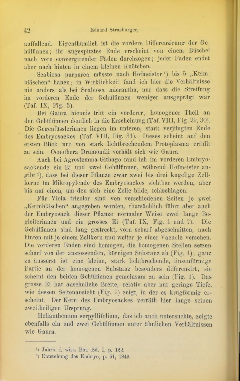 aaftallciid. Eigentliümlicli ist die vordere Differenziriing' der Ge- liülfinnen; ihr zugespitztes Ende erscheint von einem Büschel nach vorn convergirender Fäden durclizogen; jeder Faden endet aber nacli hinten in einem kleinen Knötchen. Scabiosa purpurea müsste nach Hofmeister ’) bis n „Kbim- bläschen“ haben; in Wirklichkeit fand ich hier die Verhältnisse nie anders als bei Scabiosa micrantha, nur dass die Streifung im vorderen Ende der Gehülfinnen weniger ausgeprägt war (Taf. IX, Fig. 5). Bei Gaura biennis tritt ein vorderer, homogener Theil an den Gehülfinnen deutlich in die Erscheinung (Taf. VIII, Fig. 29, 30). Die Gegenfüsslerinnen liegen im unteren, stark verjüngten Ende des Embryosackes (Taf. VIII, Fig. 31). Dieses scheint auf den ersten Blick nur von stark liclitbrechendem Protoplasma erfüllt zu sein. Oeuothera Drumondii verhält sich wie Gaura. Auch bei Agrostemma Githago fand ich im vorderen Embryo- sackende ein Ei und zwei Gehülfinnen, während Hofmeister an- gibt 2)^ dass bei dieser Pflanze zwar zwei bis drei kugelige Zell- kerne im Mikropylende des Embryosackes sichtbar werden, aber bis auf einen, um den sich eine Zelle bilde, fehlschlagen. Für Viola tricolor sind von verschiedenen Seiten je zwei „Keimbläschen“ angegeben worden, thatsächlicli führt aber auch der Embryosack dieser Pflanze normaler Weise zwei lange Be- gleiterinnen und ein grosses Ei (Taf. IX, Fig. 1 und 2). Die Gehülfinnen sind lang gestreckt, vorn scharf abgeschnitten, nach hinten mit je einem Zellkern und weiter je einer Vacuole versehen. Die vorderen Enden sind homogen, die homogenen Stellen setzen scharf von der anstossendcn, körnigen Substanz ab (Fig. 1); ganz zu äusserst ist eine kleine, stark lichtbrechende, linsenförmige Partie an der homogenen Substanz besonders ditt'erenzirt, sie scheint den beiden Gehülfinnen gemeinsam zu sein (Fig. 1). Das grosse Ei hat ansehnliche Breite, relativ aber nur geringe Tiefe, wie dessen Seitenansicht (Fig. 2) zeigt, in der es krugförmig er- scheint. Der Kern des Embryosackes verräth hier lange seinen zweitheiligen Ursprung. Helianthemum serpyllifolium, das ich auch untersuchte, zeigte ebenfalls ein und zwei Gehülfinnen unter ähnlichen Verhältnissen wie Gaura. b Jalirb. f. wiss. Bot. Bd. I, p. 122. Entstehung des Embryo, p. 51, 1849.