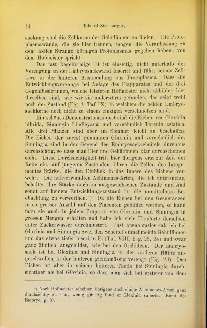 sackung sind die Zellkerne der Geliülfinnen zn finden. Die Proto- plasmawändc, die sie hier trennen, mögen die Veranlassung zu dem axilen Strange körnigen Protoplasmas gegeben haben, von dem Hofmeister spricht. Das fast kegelförmige Ei ist einseitig, dicht unterhalb der Verengung an der Embryosackwand inserirt und führt seinen Zell- kern in der hinteren Ansammlung aus Protoplasma. Dass die Entwicklungsvorgänge bei Anlage des Eiapparates und der drei Gegenfiisslerinnen, welche letzteren Hofmeister nicht abbildet, hier dieselben sind, wie wir sie anderwärts gefunden, das zeigt wohl noch der Zustand (Fig. 8, Taf. IX), in welchem die beiden Embryo- sackkerne noch nicht zu einem einzigen verschmolzen sind. Ein schönes Demonstrationsobject sind die Eichen von Gloxinia hibrida, Sinningia Lindleyana und vornehmlich Torenia asiatica. Alle drei Pflanzen sind aber im Sommer leicht zu beschaffen. Die Eichen der zuerst genannten Gloxinia und vornehmlich der Sinningia sind in der Gegend des Embryosackscheitels durchaus durchsichtig, so dass man Eier und Geliülfinnen klar durchscheinen sieht. Diese Durchsichtigkeit tritt hier übrigens erst zur Zeit der Reife ein, auf jüngeren Zuständen führen die Zellen des Integu- mentes Stärke, die den Einblick in das Innere des Eichens ver- wehrt Die nahverwandten Achimenes-Arten, die ich untersuchte, behalten ihre Stärke auch im ausgewachsenen Zustande und sind somit auf keinem Entwieklungszustand für die unmittelbare Be- obachtung zu verwerthen. Da die Eichen bei den Gesneraceen in so grosser Anzahl auf den Placenten gebildet werden, so kann man sie auch in jedem Präparat von Gloxinia und Sinningia in grossen Mengen erhalten und habe ich viele Hunderte derselben unter Zuckerwasser durchmustert. Fast ausnahmslos sah ich bei Gloxinia und Sinningia zwei den Scheitel einnehmende Geliülfinnen und das etwas tiefer inserirte Ei (Tat VIII, Fig. 23, 24) und zwar ganz ähnlich ausgebildet, wie bei den Orchideen. Der Embryo- sack ist bei Gloxinia und Sinningia in der vorderen Hälfte an- geschwollen, in der hinteren gleichmässig verengt (Fig. 23). Das Eichen ist aber in seinem hinteren Theile bei Sinningia durch- sichtiger als bei Gloxinia, so dass man sich bei ersterer von dem h Nach Hofmeister scheinen übrigens auch einige Achimenes-Arten ganz durchsichtig zu sein, wenig günstig fand er Gloxinia superba. Entst. des Embryo, p. 37.