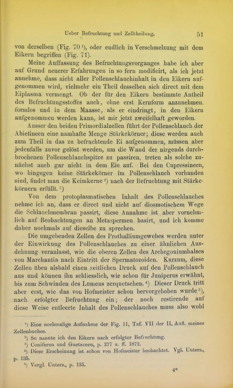 von derselben (Fig. 70 0; oder endlich in Verschmelzung mit dem Eikern begriffen (Fig. 71). Meine Auffassung des Befruchtuiigsvorganges habe ich aber auf Grund neuerer Erfahrungen in so fern modificirt; als ich jetzt annehme, dass nicht aller Pollenschlauchinhalt in den Eikern auf- genommen wird, vielmehr ein Theil desselben sich direct mit dem Eiplasma vermengt. Ob der für den Eikern bestimmte Antheil des Befruchtungsstoffes auch, ohne erst Kernform anzunehmen., formlos und in dem Maasse, als er eindringt, in den Eikern aufgenommen werden kann, ist mir jetzt zweifelhaft geworden. Ausser den beiden Primordialzellen führt der Pollenschlauch der Abietineen eine namhafte Menge Stärkekörner; diese werden auch zum Theil in das zu befruchtende Ei aufgenommen, müssen aber jedenfalls zuvor gelöst werden, um die Wand der nirgends durch- brochenen Pollenschlauchspitze zu passiren, treten als solche zu- nächst auch gar nicht in dem Eie auf. Bei den Cupressineen, wo hingegen keine Stärkekörner im Pollenschlauch vorhanden sind, findet man die Keimkerne nach der Befruchtung mit Stärke- körnern erfüllt. 0 Von dem protoplasmatischen Inhalt des Pollenschlauches nehme ich an, dass er direct und nicht auf diosmotischem Wege die Schlaiichmembran passirt, diese Annahme ist aber vornehm- lich auf Beobachtungen an Meta.spermen basirt, und ich komme daher nochmals auf dieselbe zu sprechen. Die umgebenden Zellen des Prothalliumgewebes werden unter der Einwirkung des Pollenschlauches zu einer ähnlichen Aus- dehnung veranlasst, wie die oberen Zellen des Archegoniumhalses von Marchantia nach Eintritt der Spermatozoiden. Kurzum, diese Zellen üben alsbald einen seitlichen Druck auf den Pollenschlauch aus und können ihn schliesslich, wie schon für Juniperus erwähnt, bis zum Schwinden des Lumens zerquetschen. Dieser Druck tritt aber erst, wie das von Hofmeister schon hervorgehoben wurde-'*), nach erfolgter Befruchtung ein; der noch restirende aut diese Weise entleerte Inhalt des Pollenschlauches muss also wohl q Eine nochmalige Aufnahme der Fig. 11, Taf. VII der II, Aull, meines Zellenbuches. ■^) So nannte ich den Eikern nach erfolgter Befiuchtitng. Coniferen und Gnetaceen, p. 277 u. If. 1872. ■q Diese Erscheinung ist schon von Hofmeister beobachtet. Vgl. Unters., p. 135. '’) Vergl. Unters., p. 13.5. 4*