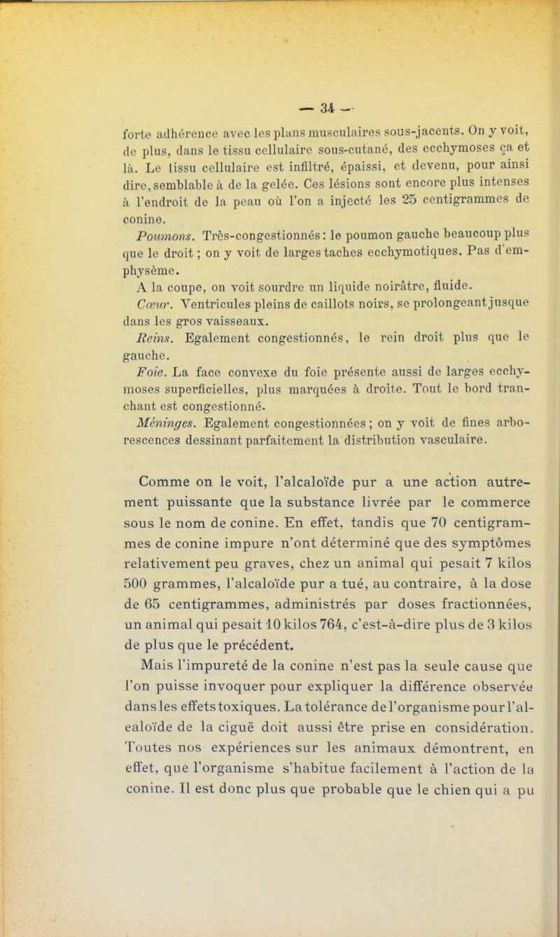 forte adhérence avec les plans musculaires sous-jacents. On y voit, de plus, dans le tissu cellulaire sous-cutané, des ecchymoses ça et là. Le tissu cellulaire est infiltré, épaissi, et devenu, pour ainsi dire, semblable à de la gelée. Ces lésions sont encore plus intenses à l'endroit de la peau où l'on a injecté les 25 centigrammes de conine. Poumons. Très-congestionnés: le poumon gauche beaucoup plus que le droit ; on y voit de larges taches ecchymotiques. Pas d'em- physème. A la coupe, on voit sourdre un liquide noirâtre, fluide. Cœur. Ventricules pleins de caillots noirs, se prolongeant jusque dans les gros vaisseaux. Reins. Egalement congestionnés, le rein droit plus que le gauche. Foie. La face convexe du foie présente aussi de larges ecchy- moses superficielles, plus marquées à droite. Tout le bord tran- chant est congestionné. Méninges. Egalement congestionnées ; on y voit de fines arbo- rescences dessinant parfaitement la distribution vasculaire. Comme on le voit, l'alcaloïde pur a une action autre- ment puissante que la substance livrée par le commerce sous le nom de conine. En effet, tandis que 70 centigram- mes de conine impure n'ont déterminé que des symptômes relativement peu graves, chez un animal qui pesait 7 kilos 500 grammes, l'alcaloïde pur a tué, au contraire, à la dose de 65 centigrammes, administrés par doses fractionnées, un animal qui pesait 10 kilos 764, c'est-à-dire plus de 3 kilos de plus que le précédent. Mais l'impureté de la conine n'est pas la seule cause que l'on puisse invoquer pour expliquer la différence observée dans les effets toxiques. La tolérance de l'organisme pour l'al- ealoïde de la ciguë doit aussi être prise en considération. Toutes nos expériences sur les animaux démontrent, en effet, que l'organisme s'habitue facilement à l'action de la conine. Il est donc plus que probable que le chien qui a pu