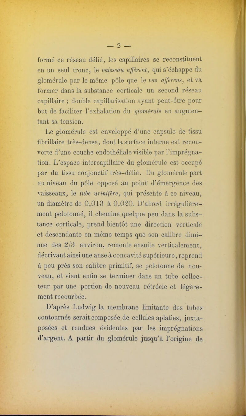 formé ce réseau délié, les capillaires se reconstituent en un seul tronc, le vaisseau afférent, qui s'échappe du glomérule par le môme pôle que le vas afferens, et va former dans la substance corticale un second réseau capillaire ; double capillarisation ayant peut-être pour but de faciliter l'exhalation du glomérule en augmen- tant sa tension. Le glomérule est enveloppé d'une capsule de tissu fibrillaire très-dense, dont la surface interne est recou- verte d'une couche endothéliale visible par l'imprégna- tion. L'espace intercapillaire du glomérule est occupé par du tissu conjonctif très-délié. Du glomérule part au niveau du pôle opposé au point d'émergence des vaisseaux, le tube urinifère, qui présente à ce niveau, un diamètre de 0,013 à 0,020. D'abord irrégulière- ment pelotonné, il chemine quelque peu dans la subs- tance corticale, prend bientôt une direction verticale et descendante en même temps que son calibre dimi- nue des 2/3 environ, remonte ensuite verticalement, décrivant ainsi une anse à concavité supérieure, reprend à peu près son calibre primitif, se pelotonne de nou- veau, et vient enfin se terminer dans un tube collec- teur par une portion de nouveau rétrécie et légère- ment recourbée. D'après Ludwig la membrane limitante des tubes contournés serait composée de cellules aplaties, juxta- posées et rendues évidentes par les imprégnations d'argent. A partir du glomérule jusqu'à l'origine de