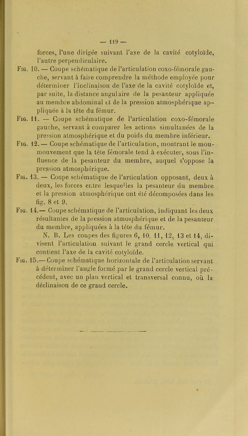 forces, Tune dirigée suivant l'axe de la cavité cotyloïde, l'autre perpendiculaire. FiG. 10. — Coupe scliéniatique de l'articulation coxo-fémorale gau- che, servant à faire comprendre la méthode employée pour déterminer l'inclinaison de l'axe de la cavité cotyloïde et, par suite, la distance angulaire de la pesanteur appliquée au membre abdominal tt de la pression atmosphérique ap- pliquée à la tête du fémur. FiG. H. — Coupe schématique de l'articulation coxo-fémorale gauche, servant à comparer les actions simultanées de la pression atmosphérique et du poids du membre inférieur. FiG. 12.— Coupe schématique de l'articulation, montrant le mou- mouvement que la tête fémorale tend à exécuter, sous l'in- fluence de la pesanteur du membre, auquel s'oppose la pression atmosphérique. FiG. 13. — Coupe schématique de l'articulation opposant, deux à deux, les forces entre lesqueHes la pesanteur du membre et la pression atmosphérique ont été décomposées dans les fig. 8 et 9. FiG. 14.— Coupe schématique de l'articulation, indiquant les deux résultantes de la pression atmosphérique et de la pesanteur du membre, appliquées à la tête du fémur. N. B. Les coupes des figures 6, 10, 11, 12. 13 et 14, di- visent l'articulation suivant le grand cercle vertical qui contient l'axe de la cavité cotyloïde. FiG. 15.— Coupe schématique horizontale de l'articulation servant à déterminer l'angle formé par le grand cercle vertical pré- cédent, avec un plan vertical et transversal connu, où la déclinaison de ce grand cercle.