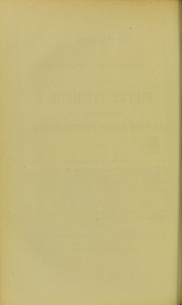 digitised image 2