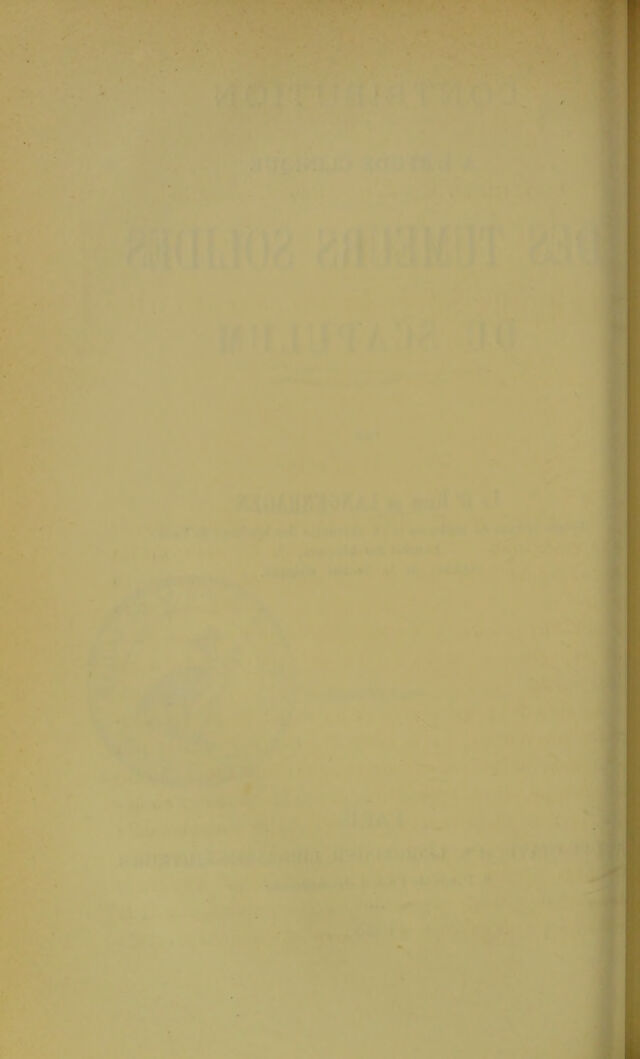 digitised image 2