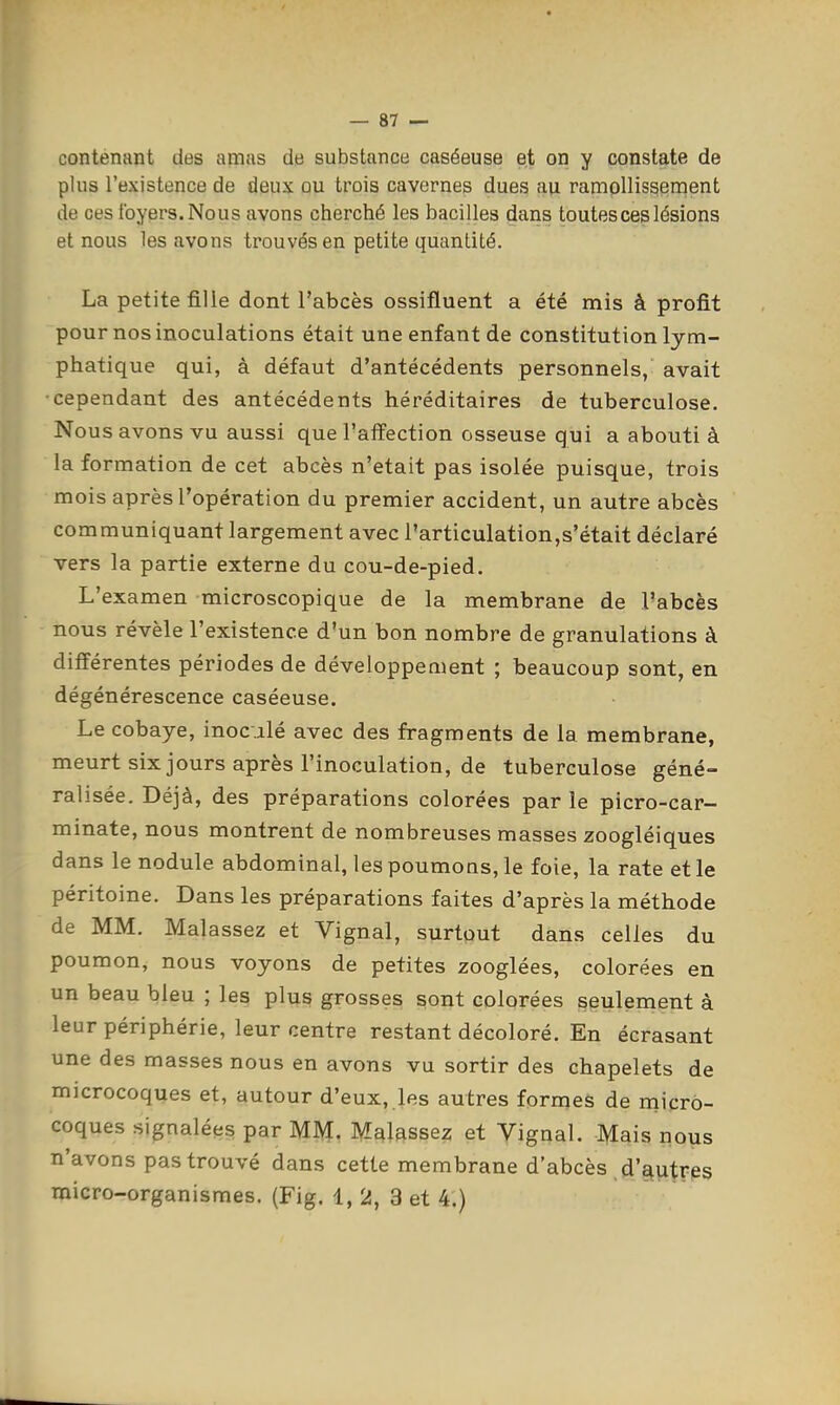contenant des amas de substance caséeuse et on y constate de plus l'existence de deux ou trois cavernes dues au ramollissement de ces loyers. Nous avons cherché les bacilles dans toutes ces lésions et nous les avons trouvés en petite quantité. La petite filie dont l'abcès ossifluent a été mis à profit pournos inoculations était une enfant de constitution lym- phatique qui, à défaut d'antécédents personnels, avait •cependant des antécédents héréditaires de tuberculose. Nous avons vu aussi que l'affection osseuse qui a abouti à la formation de cet abcès n'était pas isolée puisque, trois mois après l'opération du premier accident, un autre abcès communiquant largement avec l'articulation,s'était déclaré vers la partie externe du cou-de-pied. L'examen microscopique de la membrane de l'abcès nous révèle l'existence d'un bon nombre de granulations à différentes périodes de développement ; beaucoup sont, en dégénérescence caséeuse. Le cobaye, inoculé avec des fragments de la membrane, meurt six jours après l'inoculation, de tuberculose géné- ralisée. Déjà, des préparations colorées par le picro-car- minate, nous montrent de nombreuses masses zoogléiques dans le nodule abdominal, les poumons, le foie, la rate et le péritoine. Dans les préparations faites d'après la méthode de MM. Malassez et Vignal, surtout dans celles du poumon, nous voyons de petites zooglées, colorées en un beau bleu ; les plus grosses sont colorées seulement à leur périphérie, leur centre restant décoloré. En écrasant une des masses nous en avons vu sortir des chapelets de microcoques et, autour d'eux, les autres formes de micro- coques signalées par MM- Malassez et Vignal. Mais nous n'avons pas trouvé dans cette membrane d'abcès d'autrps micro-organismes. (Fig. 1, 2, 3 et 4.)