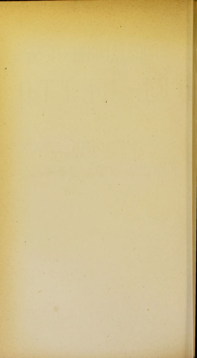 digitised image 2