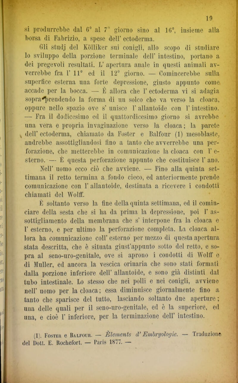 10 si produrrebbe dal 6° al T giorno sino al 16°, insieme alla borsa di Fabrizio, a spese dell' ectoderma. Gli studi del Kolliker sui conigli, allo scopo di studiare lo sviluppo della porzione terminale dell' intestino, portano a dei pregevoli resultati. L' apertura anale in questi animali av- verrebbe fra r 11 ed il 12° giorno. — Oomincerebbe sulla superfice esterna una forte depressione, giusto appunto come accade per la bocca. — È allora che 1' ectoderma vi si adagia sopra^rendendo la forma di un solco che va verso la cloaca, oppure nello spazio ove s' unisce 1' allantoide con F intestino. — Fra il dodicesimo ed il quattordicesimo giorno si avrebbe una vera e propria invaginazione verso la cloaca; la parete ^ dell' ectoderma, chiamato da Foster e Balfour (1) mesoblaste^ andrebbe assottigliandosi fino a tanto che avverrebbe una per- forazione, che metterebbe in comunicazione la cloaca con F e- sterno. — È questa perforazione appunto che costituisce F ano. Neil' uomo ecco ciò che avviene. — Fino alla quinta set- timana il retto termina a fondo cieco, ed anteriormente prende comunicazione con F allantoide, destinata a ricevere i condotti chiamati del Wolff. È soltanto verso la fine della quinta settimana, ed il comin.- ciare della sesta che si ha da prima la depressione, poi F as- sottigliamento della membrana che s' interpone fra la cloaca e F esterno, e per ultimo la perforazione completa. La cloaca al- lora ha comunicazione colF esterno per mezzo di questa apertura stata descritta, che è situata giust'appunto sotto del retto, e so^ pra al seno-uro-genitale, ove si aprono i condotti di Wolff o di Muller, ed ancora la vescica orinarla che sono stati formati dalla porzione inferiore dell' allantoide, e sono già distinti dal tubo intestinale. Lo stesso che nei polli e nei conigli, avviene nelF uomo per la cloaca ; essa diminuisce giornalmente fino a tanto che sparisce del tutto, lasciando soltanto due aperture ; una delle quali per il seuo-uro-genitale, ed è la superiore, ed una, e cioè F inferiore, per la terminazione delF intestino. (1). Foste» e Balfour. — Èlements d'Enibryologìc. — Traduzione del Dott. E. Uochefort. — Taiis 1877. —