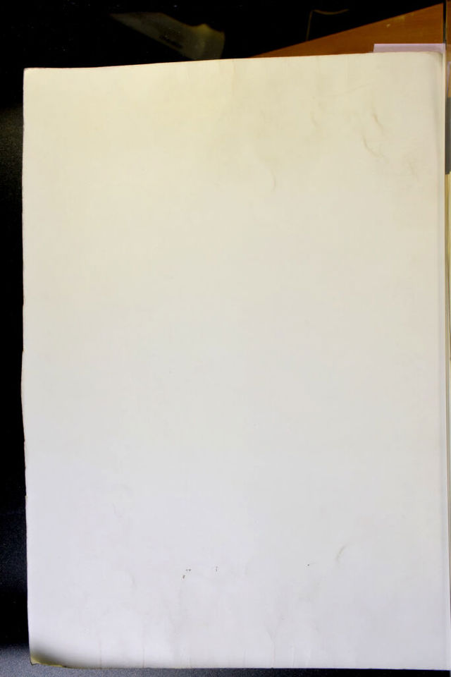 digitised image 2