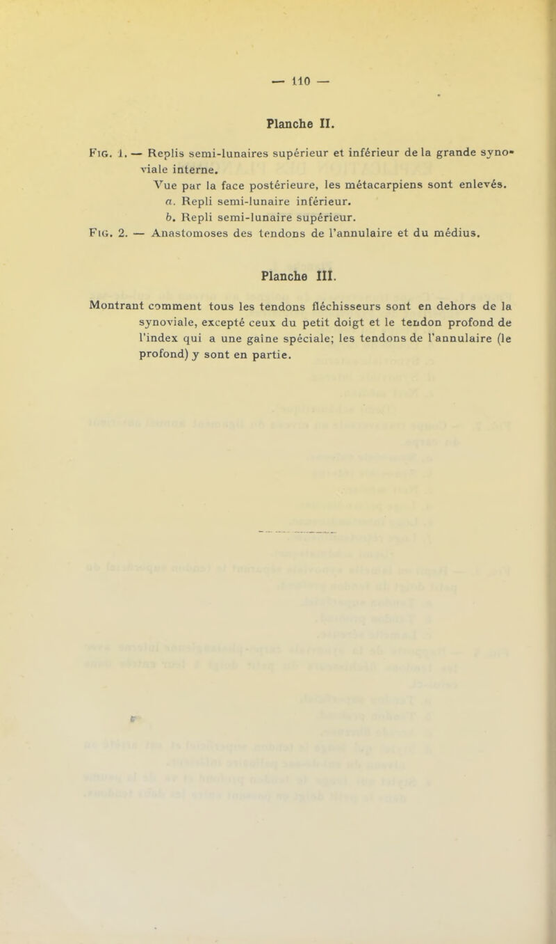 Planche II. Fig. 1. — Replis semi-lunaires supérieur et inférieur delà grande syno- viale interne. Vue par la face postérieure, les métacarpiens sont enlevés. a. Repli semi-lunaire inférieur. b. Repli semi-lunaire supérieur. Fig. 2. — Anastomoses des tendons de l’annulaire et du médius. Planche III. Montrant comment tous les tendons fléchisseurs sont en dehors de la synoviale, excepté ceux du petit doigt et le tendon profond de l’index qui a une gaine spéciale; les tendons de l’annulaire (le profond) y sont en partie. r