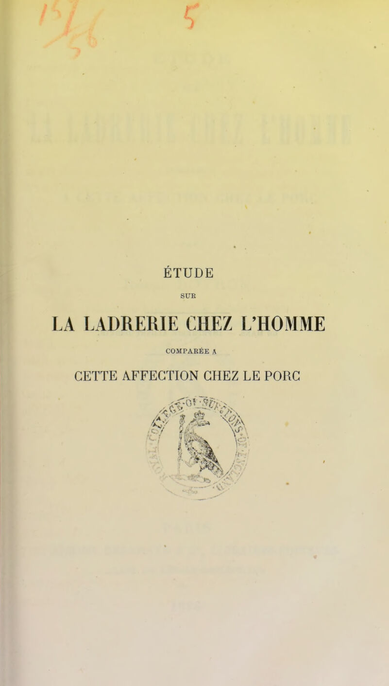 ÉTUDE SUE LA LADRERIE CHEZ L’HOMME COMPARÉE A CETTE AFFECTION CHEZ LE PORC