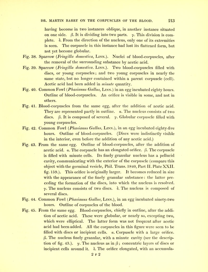 having become in two instances oblique, in another instance situated on one side. (3. It is dividing into two parts, y. This division is com- plete. &. From the direction of the nucleus, only one of its extremities is seen. The corpuscle in this instance had lost its flattened form, but not yet become globular. Fig. 38. Sparrow (Fringilla domestica, Linn.). Nuclei of blood-corpuscles, after the removal of the surrounding substance by acetic acid. Fig. 39. Sparrow (Fringilla domestica. Linn.). Two blood-corpuscles filled with discs, or young corpuscles; and two young corpuscles in nearly the same state, but no longer contained within a parent corpuscle (cell). Acetic acid had been added in minute quantity. Fig. 40. Common Fowl (Phasianus Gallus, Linn.) in an egg incubated eighty hours. Outline of blood-corpuscles. An orifice is visible in some, and not in others. Fig. 41. Blood-corpuscles from the same egg, after the addition of acetic acid. They are represented partly in outline, u. The nucleus consists of two discs. (3. It is composed of several, y. Globular corpuscle filled with young corpuscles. Fig. 42. Common Fowl (Phasianus Gallus, Linn.), in an egg incubated eighty-five hours. Outline of blood-corpuscles. (Discs were indistinctly visible in the interior, even before the addition of any acetic acid.) Fig. 43. From the same egg. Outline of blood-corpuscles, after the addition of acetic acid. a. The corpuscle has an elongated orifice. (3. The corpuscle is filled with minute cells. Its finely granular nucleus has a pellucid cavity, communicating with the exterior of the corpuscle (compare this object with the germinal vesicle, Phil. Trans. 1840, Part II. Plate XXII. fig. 159.). This orifice is originally larger. It becomes reduced in size with the appearance of the finely granular substance: the latter pre- ceding the formation of the discs, into which the nucleus is resolved, y. The nucleus consists of two discs. The nucleus is composed of several discs. Fig. 44. Common Fowl (Phasianus Gallus, Linn.), in an egg incubated ninety-two hours. Outline of corpuscles of the blood. Fig. 45. From the same egg. Blood-corpuscles, chiefly in outline, after the addi- tion of acetic acid. These were globular, or nearly so, excepting two, which were elliptical. The latter form was not frequent after acetic acid had been added. All the corpuscles in this figure were seen to be filled with discs or incipient cells, a. Corpuscle with a large orifice. f3. The nucleus finely granular, with a minute cavity (see the descrip- tion of fig. 43.). y. The nucleus as in (3 ; concentric layers of discs or incipient cells around it. &. The orifice elongated, with an accumula- 2 f 2