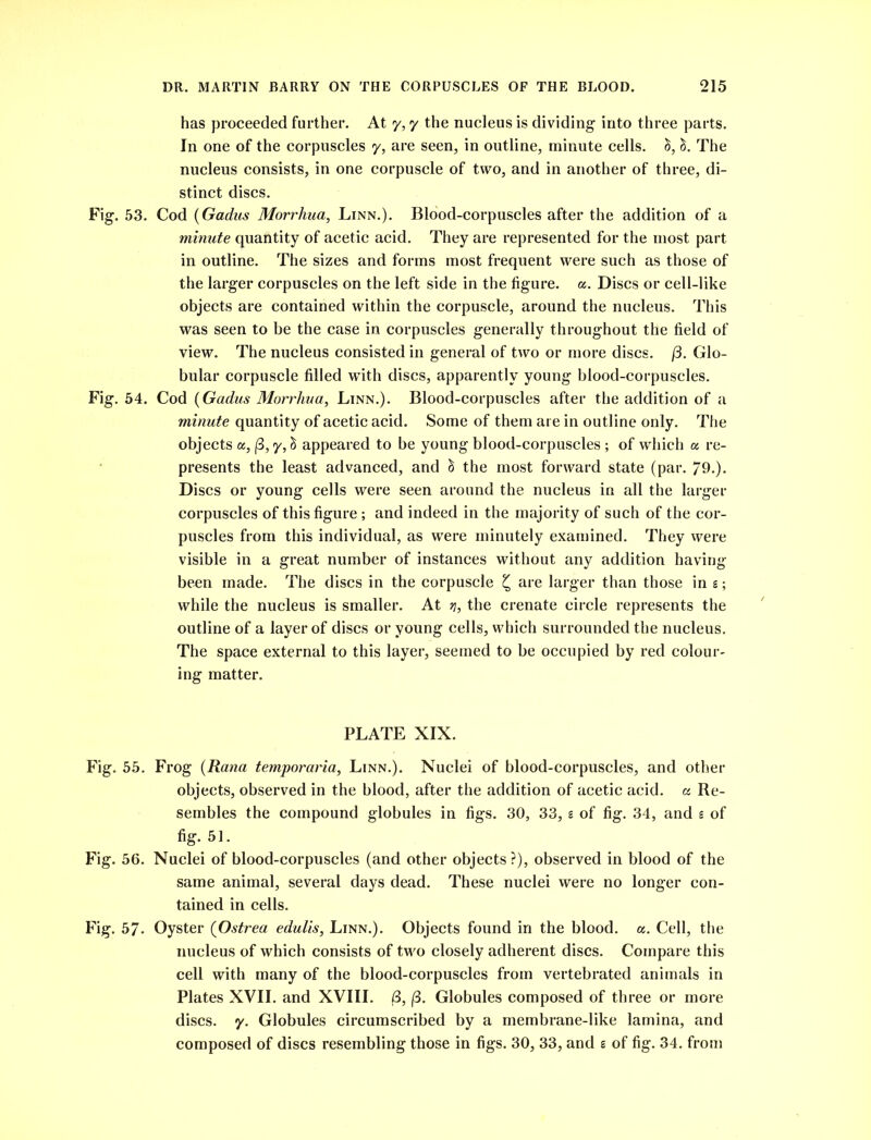 has proceeded further. At y, y the nucleus is dividing- into three parts. In one of the corpuscles y, are seen, in outline, minute cells. &, &. The nucleus consists, in one corpuscle of two, and in another of three, di- stinct discs. Fig-. 53. Cod (Gadns Morrhua, Linn.). Blood-corpuscles after the addition of a minute quantity of acetic acid. They are represented for the most part in outline. The sizes and forms most frequent were such as those of the larger corpuscles on the left side in the figure, a. Discs or cell-like objects are contained within the corpuscle, around the nucleus. This was seen to be the case in corpuscles generally throughout the field of view. The nucleus consisted in general of two or more discs. (3. Glo- bular corpuscle filled with discs, apparently young blood-corpuscles. Fig. 54. Cod (Gadus Morrhua, Linn.). Blood-corpuscles after the addition of a minute quantity of acetic acid. Some of them are in outline only. The objects a, (3,y,h appeared to be young blood-corpuscles ; of which a re- presents the least advanced, and § the most forward state (par. 79.). Discs or young cells were seen around the nucleus in all the larger corpuscles of this figure ; and indeed in the majority of such of the cor- puscles from this individual, as were minutely examined. They were visible in a great number of instances without any addition having been made. The discs in the corpuscle £ are larger than those in s; while the nucleus is smaller. At y, the crenate circle represents the outline of a layer of discs or young cells, which surrounded the nucleus. The space external to this layer, seemed to be occupied by red colour- ing matter. PLATE XIX. Fig. 55. Frog (Rana temporaria, Linn.). Nuclei of blood-corpuscles, and other objects, observed in the blood, after the addition of acetic acid, a Re- sembles the compound globules in figs. 30, 33, £ of fig. 34, and £ of fig. 51. Fig. 56. Nuclei of blood-corpuscles (and other objects?), observed in blood of the same animal, several days dead. These nuclei were no longer con- tained in cells. Fig. 57- Oyster (Ostrea edulis, Linn.). Objects found in the blood, a. Cell, the nucleus of which consists of two closely adherent discs. Compare this cell with many of the blood-corpuscles from vertebrated animals in Plates XVII. and XVIII. B, (3. Globules composed of three or more discs, y. Globules circumscribed by a membrane-like lamina, and composed of discs resembling those in figs. 30, 33, and s of fig. 34. from