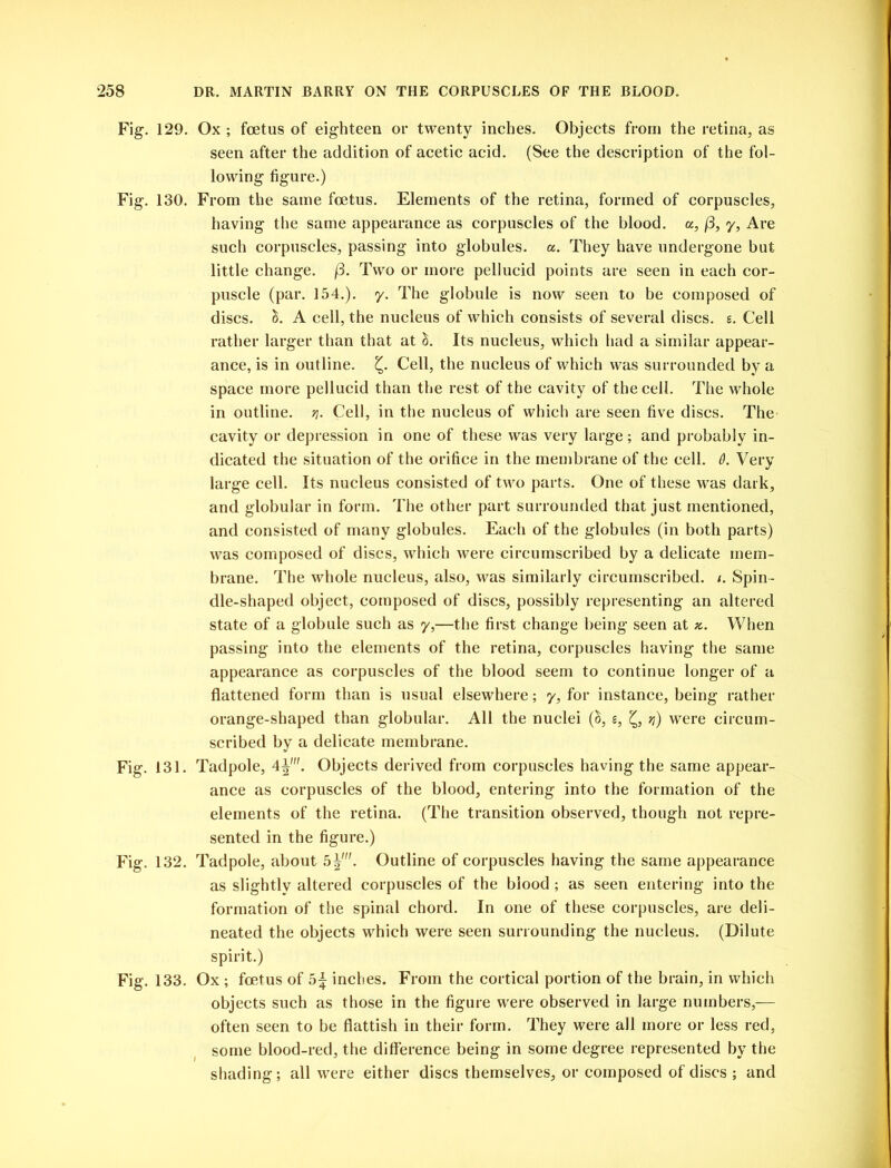 Fig. 129. Ox ; foetus of eighteen or twenty inches. Objects from the retina, as seen after the addition of acetic acid. (See the description of the fol- lowing figure.) Fig. 130. From the same foetus. Elements of the retina, formed of corpuscles, having the same appearance as corpuscles of the blood, a, (3, y, Are such corpuscles, passing into globules, a. They have undergone but little change. /3. Two or more pellucid points are seen in each cor- puscle (par. 154.). y. The globule is now seen to be composed of discs, h. A cell, the nucleus of which consists of several discs, s. Cell rather larger than that at £. Its nucleus, which had a similar appear- ance, is in outline. Cell, the nucleus of which was surrounded by a space more pellucid than the rest of the cavity of the cell. The whole in outline. v\. Cell, in the nucleus of which are seen five discs. The cavity or depression in one of these was very large; and probably in- dicated the situation of the orifice in the membrane of the cell. 6. Very large cell. Its nucleus consisted of two parts. One of these was dark, and globular in form. The other part surrounded that just mentioned, and consisted of many globules. Each of the globules (in both parts) was composed of discs, which were circumscribed by a delicate mem- brane. The whole nucleus, also, was similarly circumscribed. /. Spin- dle-shaped object, composed of discs, possibly representing an altered state of a globule such as y,—the first change being seen at k. When passing into the elements of the retina, corpuscles having the same appearance as corpuscles of the blood seem to continue longer of a flattened form than is usual elsewhere; y, for instance, being rather orange-shaped than globular. All the nuclei (S, g, ri) were circum- scribed by a delicate membrane. Fig. 131. Tadpole, 4^'. Objects derived from corpuscles having the same appear- ance as corpuscles of the blood, entering into the formation of the elements of the retina. (The transition observed, though not repre- sented in the figure.) Fig. 132. Tadpole, about 5|'. Outline of corpuscles having the same appearance as slightly altered corpuscles of the blood ; as seen entering into the formation of the spinal chord. In one of these corpuscles, are deli- neated the objects which were seen surrounding the nucleus. (Dilute spirit.) Fig. 133. Ox ; foetus of inches. From the cortical portion of the brain, in which objects such as those in the figure were observed in large numbers,— often seen to be flattish in their form. They were all more or less red, some blood-red, the difference being in some degree represented by the shading; all were either discs themselves, or composed of discs ; and