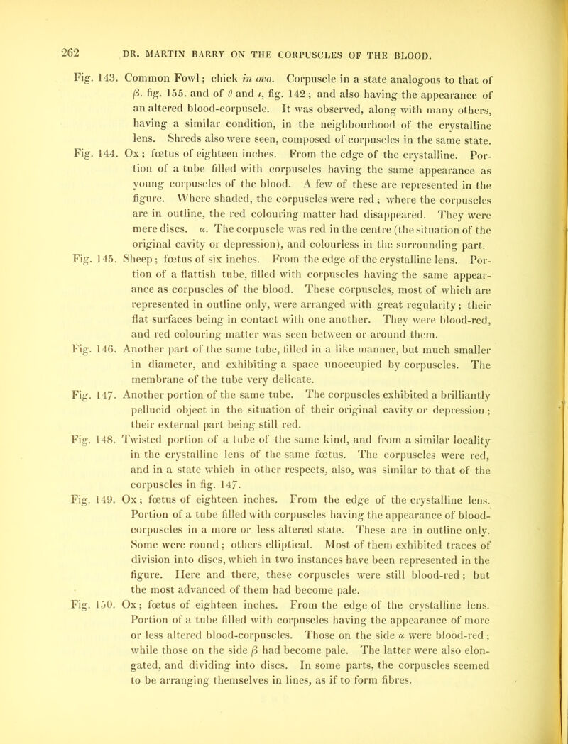 Fig. 143. Common Fowl; chick in ovo. Corpuscle in a state analogous to that of ($• fig* 155. and of 0 and i, fig. 142 ; and also having the appearance of an altered blood-corpuscle. It was observed, along with many others, having a similar condition, in the neighbourhood of the crystalline lens. Shreds also were seen, composed of corpuscles in the same state. Fig. 144. Ox; foetus of eighteen inches. From the edge of the crystalline. Por- tion of a tube filled with corpuscles having the same appearance as young corpuscles of the blood. A few of these are represented in the figure. Where shaded, the corpuscles were red ; where the corpuscles are in outline, the red colouring matter had disappeared. They were mere discs, a. The corpuscle was red in the centre (the situation of the original cavity or depression), and colourless in the surrounding part. Fig. 145. Sheep; foetus of six inches. From the edge of the crystalline lens. Por- tion of a flattish tube, filled with corpuscles having the same appear- ance as corpuscles of the blood. These corpuscles, most of which are represented in outline only, were arranged with great regularity; then- flat surfaces being in contact with one another. They were blood-red, and red colouring matter was seen between or around them. Fig. 146. Another part of the same tube, filled in a like manner, but much smaller in diameter, and exhibiting a space unoccupied by corpuscles. The membrane of the tube very delicate. Fig. 147- Another portion of the same tube. The corpuscles exhibited a brilliantly pellucid object in the situation of their original cavity or depression; their external part being still red. Fig. 148. Twisted portion of a tube of the same kind, and from a similar locality in the crystalline lens of the same foetus. The corpuscles were red, and in a state which in other respects, also, was similar to that of the corpuscles in fig. 147- Fig. 149. Ox; foetus of eighteen inches. From the edge of the crystalline lens. Portion of a tube filled with corpuscles having the appearance of blood- corpuscles in a more or less altered state. These are in outline only. Some were round ; others elliptical. Most of them exhibited traces of division into discs, which in two instances have been represented in the figure. Here and there, these corpuscles were still blood-red; but the most advanced of them had become pale. Fig. 150. Ox; foetus of eighteen inches. From the edge of the crystalline lens. Portion of a tube filled with corpuscles having the appearance of more or less altered blood-corpuscles. Those on the side a were blood-red; while those on the side (3 had become pale. The latter were also elon- gated, and dividing into discs. In some parts, the corpuscles seemed to be arranging themselves in lines, as if to form fibres.