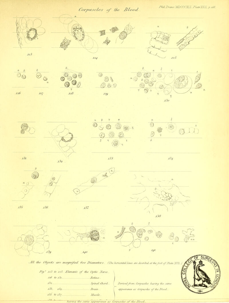 Corpuscles of Ifr Jcloocl. w?ys- 0 © ®rn '{& 5 <9 i w 8 '©> @J2D $ 4 X •;# r/ jl33 0 j35 236 237 nri P (7© \fl psf/» W/ N r \ j 05» •» ^ Jfigf 223 to 225. TElemervts of i%& Optic, JSTerve,. /a? to 23i ...Jtetaico. 262 Spmod, Chord,. ( derived, from. Corpuscles hcadng the stone i33, 234. Jlral/i. . appearance as Corpuscles of the MloocL. 235 to i3j. Muscle. j haring ftw same ca.'pemmiee as Corpuscles of the Mined.