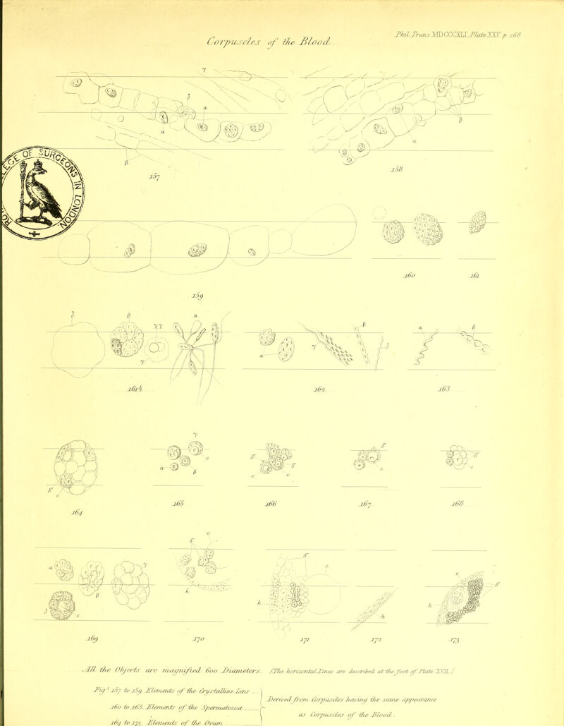 J’MJtans.'MD CCCXLL.BZateJW. p .268. /Jy the, Objects are rrulpruf'uS/ 800 SDiameters. fThe horizonbalZines are described, cctthefoot fSlate 8SIL.) JFig f 28/ -to iSg. ^Elements of the trystal/irieZens \ / Zertvedyfrom, Corpuscles Tutvinc/ the same appearance 280 to a.83. JSlemervts of Che Spermatozoa, r~ l as Corpuscles of the .Blood,. 284. to 27?.. ^Elements of die Ovum* /