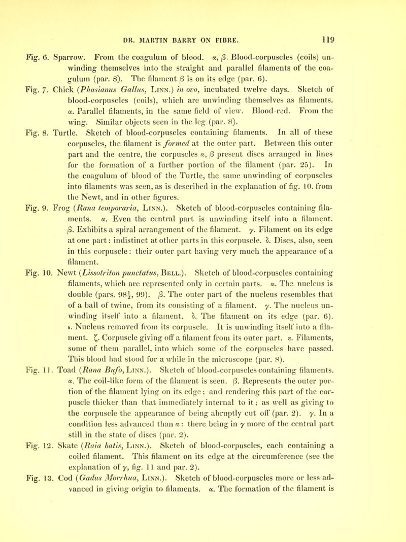 Fig. 6. Sparrow. From the coagulum of blood, a, |3. Blood-corpuscles (coils) un- winding themselves into the straight and parallel filaments of the coa- gulum (par. 8). The filament j3 is on its edge (par. 6). Fig. 7- Chick (Pliasianus Gallus, Linn.) in ovo, incubated twelve days. Sketch of blood-corpuscles (coils), which are unwinding themselves as filaments, a. Parallel filaments, in the same field of view. Blood-red. From the wing. Similar objects seen in the leg (par. 8). Fig. 8. Turtle. Sketch of blood-corpuscles containing filaments. In all of these corpuscles, the filament is formed at the outer part. Between this outer part and the centre, the corpuscles a, (3 present discs arranged in lines for the formation of a further portion of the filament (par. 25). In the coagulum of blood of the Turtle, the same unwinding of corpuscles into filaments was seen, as is described in the explanation of fig. 10. from the Newt, and in other figures. Fig. 9. Frog (Rana temporaria, Linn.). Sketch of blood-corpuscles containing fila- ments. a. Even the central part is unwinding itself into a filament. (3. Exhibits a spiral arrangement of the filament, y. Filament on its edge at one part: indistinct at other parts in this corpuscle, ei. Discs, also, seen in this corpuscle: their outer part having very much the appearance of a filament. Fig. 10. Newt (Lissotriton punctatus, Bell.). Sketch of blood-corpuscles containing filaments, which are represented only in certain parts, a. The nucleus is double (pars. 98^, 99). (3. The outer part of the nucleus resembles that of a ball of twine, from its consisting of a filament, y. The nucleus un- winding itself into a filament. The filament on its edge (par. 6). e. Nucleus removed from its corpuscle. It is unwinding itself into a fila- ment. Corpuscle giving off a filament from its outer part. yj. Filaments, some of them parallel, into which some of the corpuscles have passed. This blood had stood for awhile in the microscope (par. 8). Fig. 1J. Toad (Rana Bnfo, Linn.). Sketch of blood-corpuscles containing filaments. a. The coil-like form of the filament is seen. |S. Represents the outer por- tion of the filament lying on its edge ; and rendering this part of the cor- puscle thicker than that immediately internal to it; as well as giving to the corpuscle the appearance of being abruptly cut off (par. 2). y. In a condition less ad vanced than «: there being in y more of the central part still in the state of discs (par. 2). Fig. 12. Skate (Raid batis, Linn.). Sketch of blood-corpuscles, each containing a coiled filament. This filament on its edge at the circumference (see the explanation of y, fig. 11 and par. 2). Fig. 13. Cod (Gadus Morrhua, Linn.). Sketch of blood-corpuscles more or less ad- vanced in giving origin to filaments, a. The formation of the filament is