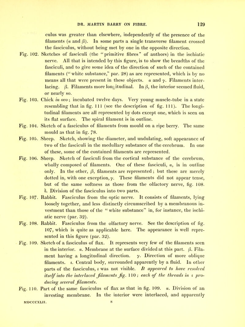 cuius was greater than elsewhere, independently of the presence of the filaments (a and (3). In some parts a single transverse filament crossed the fasciculus, without being met by one in the opposite direction. Fig. 102. Sketches of fasciculi (the “primitive fibres” of authors) in the ischiatic nerve. All that is intended by this figure, is to show the breadths of the fasciculi, and to give some idea of the direction of such of the contained filaments (“ white substance,” par. 28) as are represented, which is by no means all that w^ere present in these objects, u and y. Filaments inter- lacing. j8. Filaments more longitudinal. In (3, the interior seemed fluid, or nearly so. Fig. 103. Chick in ovo; incubated twelve days. Very young muscle-tube in a state resembling that in fig. Ill (see the description of fig. 111). The longi- tudinal filaments are all represented by dots except one, which is seen on its flat surface. The spiral filament is in outline. Fig. 104. Sketch of a fasciculus of filaments from mould on a ripe berry. The same mould as that in fig. 78. Fig. 105. Sheep. Sketch, showing the diameter, and undulating, soft appearance of two of the fasciculi in the medullary substance of the cerebrum. In one of these, some of the contained filaments are represented. Fig. 106. Sheep. Sketch of fasciculi from the cortical substance of the cerebrum, wholly composed of filaments. One of these fasciculi, a, is in outline only. In the other, (3, filaments are represented; but these are merely dotted in, with one exception, y. These filaments did not appear tense, but of the same softness as those from the olfactory nerve, fig. 108. &. Division of the fasciculus into two parts. Fig. 107- Rabbit. Fasciculus from the optic nerve. It consists of filaments, lying loosely together, and less distinctly circumscribed by a membranous in- vestment than those of the “ white substance” in, for instance, the ischi- atic nerve (par. 32). Fig. 108. Rabbit. Fasciculus from the olfactory nerve. See the description of fig. 107, which is quite as applicable here. The appearance is well repre- sented in this figure (par. 32). Fig. 109. Sketch of a fasciculus of flax. It represents very few of the filaments seen in the interior, a. Membrane at the surface divided at this part. (3. Fila- ment having a longitudinal direction. y. Direction of more oblique filaments, s. Central body, surrounded apparently by a fluid. In other parts of the fasciculus, e was not visible. It appeared to have resolved itself into the interlaced filaments Jig. 110; each of the threads in s pro- ducing several filaments. Fig. 110. Part of the same fasciculus of flax as that in fig. 109. a. Division of an investing membrane. In the interior were interlaced, and apparently MDCCCXLII. S