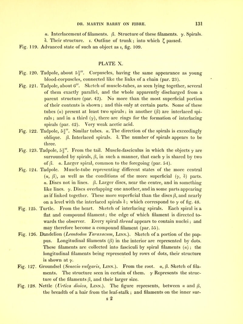 a. Interlacement of filaments. (3. Structure of these filaments, y. Spirals. }>. Their structure, s. Outline of trunk; into which £ passed. Fig. 119. Advanced state of such an object as s, fig. 109. PLATE X. Fig. 120. Tadpole, about 5^'. Corpuscles, having the same appearance as young blood-corpuscles, connected like the links of a chain (par. 23). Fig. 121. Tadpole, about 6'. Sketch of muscle-tubes, as seen lying together, several of them exactly parallel, and the whole apparently discharged from a parent structure (par. 42). No more than the most superficial portion of their contents is shown ; and this only at certain parts. Some of these tubes (a) present at least two spirals; in another ((3) are interlaced spi- rals ; and in a third (y), there are rings for the formation of interlacing spirals (par. 42). Very weak acetic acid. Fig. 122. Tadpole, 5§'. Similar tubes, a. The direction of the spirals is exceedingly oblique. (3. Interlaced spirals. S. The number of spirals appears to be three. Fig. 123. Tadpole, 5%'. From the tail. Muscle-fasciculus in which the objects y are surrounded by spirals, (3, in such a manner, that each y is shared by two of (3. «. Larger spiral, common to the foregoing (par. 54). Fig. 124. Tadpole. Muscle-tube representing different states of the more central (a, 18), as well as the conditions of the more superficial (y, &) parts, a. Discs not in lines. (3. Larger discs, near the centre, and in something like lines, y. Discs overlapping one another, and in some parts appearing as if linked together. These more superficial than the discs (3, and nearly on a level with the interlaced spirals l; which correspond to y of fig. 48. Fig. 125. Turtle. From the heart. Sketch of interlacing spirals. Each spiral is a flat and compound filament; the edge of which filament is directed to- wards the observer. Every spiral thread appears to contain nuclei; and may therefore become a compound filament (par. 55). Fig. 126. Dandelion (Leontodon Taraxacum, Linn.). Sketch of a portion of the pap- pus. Longitudinal filaments (j8) in the interior are represented by dots. These filaments are collected into fasciculi by spiral filaments (a); the longitudinal filaments being represented by rows of dots, their structure is shown at y. Fig. 127- Groundsel (Senecio vulgaris, Linn.). From the root, a, (3. Sketch of fila- ments. The structure seen in certain of them, y Represents the struc- ture of the filaments |3, and their larger size. Fig. 128. Nettle (XJrtica dioica, Linn.). The figure represents, between a and (3, the breadth of a hair from the leaf-stalk ; and filaments on the inner sur- s 2