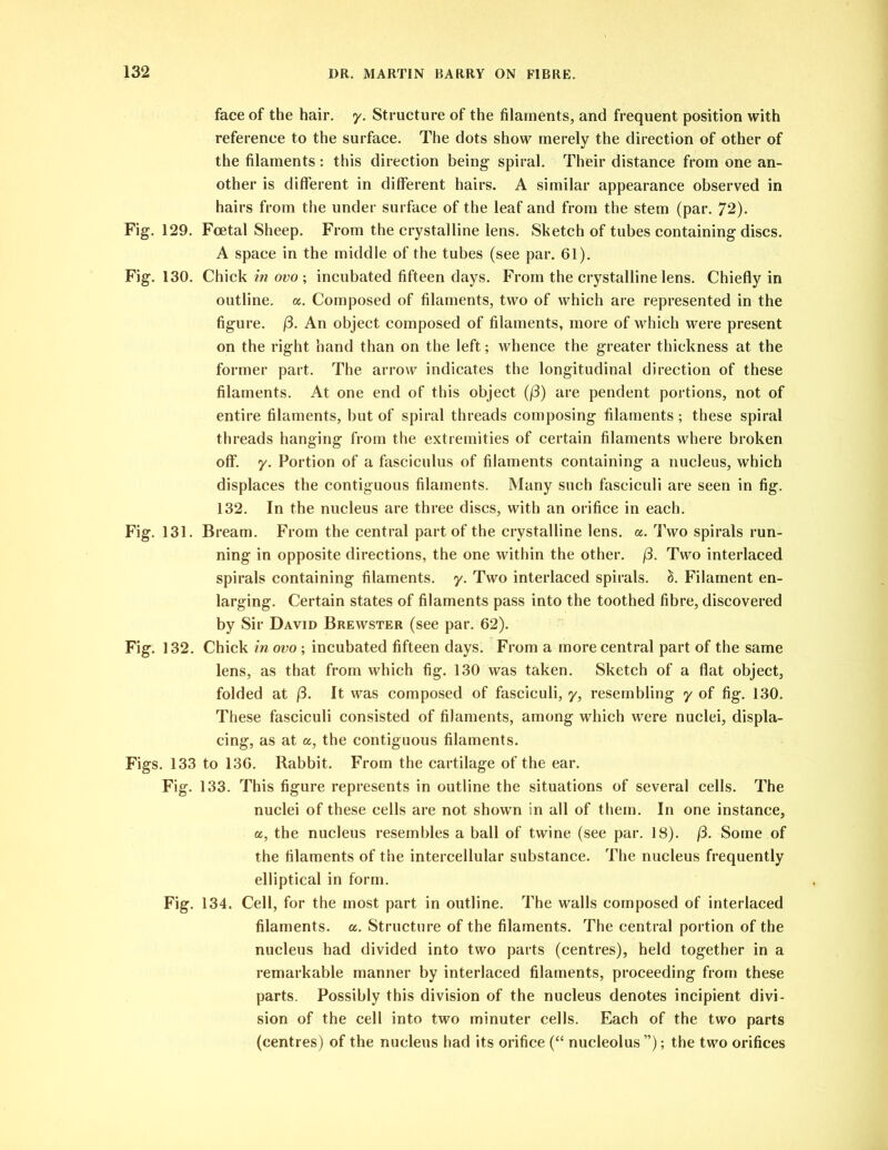 face of the hair. y. Structure of the filaments, and frequent position with reference to the surface. The dots show merely the direction of other of the filaments: this direction being spiral. Their distance from one an- other is different in different hairs. A similar appearance observed in hairs from the under surface of the leaf and from the stem (par. 72). Fig. 129. Foetal Sheep. From the crystalline lens. Sketch of tubes containing discs. A space in the middle of the tubes (see par. 61). Fig. 130. Chick in ovo ; incubated fifteen days. From the crystalline lens. Chiefly in outline, a. Composed of filaments, two of which are represented in the figure. (3. An object composed of filaments, more of which were present on the right hand than on the left; whence the greater thickness at the former part. The arrow indicates the longitudinal direction of these filaments. At one end of this object (/3) are pendent portions, not of entire filaments, but of spiral threads composing filaments; these spiral threads hanging from the extremities of certain filaments where broken off. y. Portion of a fasciculus of filaments containing a nucleus, which displaces the contiguous filaments. Many such fasciculi are seen in fig. 132. In the nucleus are three discs, with an orifice in each. Fig. 131. Bream. From the central part of the crystalline lens. a. Two spirals run- ning in opposite directions, the one within the other. (3. Two interlaced spirals containing filaments, y. Two interlaced spirals. &. Filament en- larging. Certain states of filaments pass into the toothed fibre, discovered by Sir David Brewster (see par. 62). Fig. 132. Chick in ovo ; incubated fifteen days. From a more central part of the same lens, as that from which fig. 130 was taken. Sketch of a flat object, folded at (3. It was composed of fasciculi, y, resembling y of fig. 130. These fasciculi consisted of filaments, among which were nuclei, displa- cing, as at a, the contiguous filaments. Figs. 133 to 136. Rabbit. From the cartilage of the ear. Fig. 133. This figure represents in outline the situations of several cells. The nuclei of these cells are not shown in all of them. In one instance, a, the nucleus resembles a ball of twine (see par. 18). (3. Some of the filaments of the intercellular substance. The nucleus frequently elliptical in form. Fig. 134. Cell, for the most part in outline. The walls composed of interlaced filaments, a. Structure of the filaments. The central portion of the nucleus had divided into two parts (centres), held together in a remarkable manner by interlaced filaments, proceeding from these parts. Possibly this division of the nucleus denotes incipient divi- sion of the cell into two minuter cells. Each of the two parts (centres) of the nucleus had its orifice (“ nucleolus ”); the two orifices
