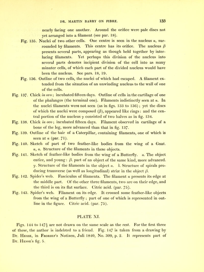 nearly facing one another. Around the orifice were pale discs not yet arranged into a filament (see par. 18). Fig. 135. Nuclei of two other cells. One centre is seen in the nucleus a, sur- rounded by filaments. This centre has its orifice. The nucleus /3 presents several parts, appearing as though held together by inter- lacing filaments. Yet perhaps this division of the nucleus into several parts denotes incipient division of the cell into as many minuter cells, of which each part of the divided nucleus would have been the nucleus. See pars. 18, 19. Fig. 136. Outline of two cells, the nuclei of which had escaped. A filament ex- tended from the situation of an unwinding nucleus to the wall of one of the cells. Fig. 137- Chick in ovo ; incubated fifteen days. Outline of cells in the cartilage of one of the phalanges (the terminal one). Filaments indistinctly seen at a. In the nuclei filaments were not seen (as in figs. 133 to 136); yet the discs of which the nuclei were composed (/3), appeared like rings: and the cen- tral portion of the nucleus y consisted of two halves as in fig. 134. Fig. 138. Chick in ovo; incubated fifteen days. Filament observed in cartilage of a bone of the leg, more advanced than that in fig. 137- Fig. 139. Outline of the hair of a Caterpillar, containing filaments, one of which is seen at a (par. 71)- Fig. 140. Sketch of part of two feather-like bodies from the wing of a Gnat. a, a. Structure of the filaments in these objects. Fig. 141. Sketch of feather-like bodies from the wing of a Butterfly, a. The object entire, and young: j3. part of an object of the same kind, more advanced, y. Structure of the filaments in the object a. &. Structure of spirals pro- ducing transverse (as well as longitudinal) striae in the object (3. Fig. 142. Spider’s web. Fasciculus of filaments. The filament « presents its edge at the middle part. Of the other three filaments, two are on their edge, and the third is on its flat surface. Citric acid. (par. 75). Fig. 143. Spider’s web. Filament on its edge. It crossed some feather-like objects from the wing of a Butterfly; part of one of which is represented in out- line in the figure. Citric acid. (par. 75). PLATE XI. Figs. 144 to 147\ are not drawn on the same scale as the rest. For the first three of these, the author is indebted to a friend. Fig. 147 is taken from a drawing by Dr. Hesse, in Froriep’s Notizen, Juli 1840, No. 309, p. 2. It represents part of Dr. Hesse’s fig. 5.