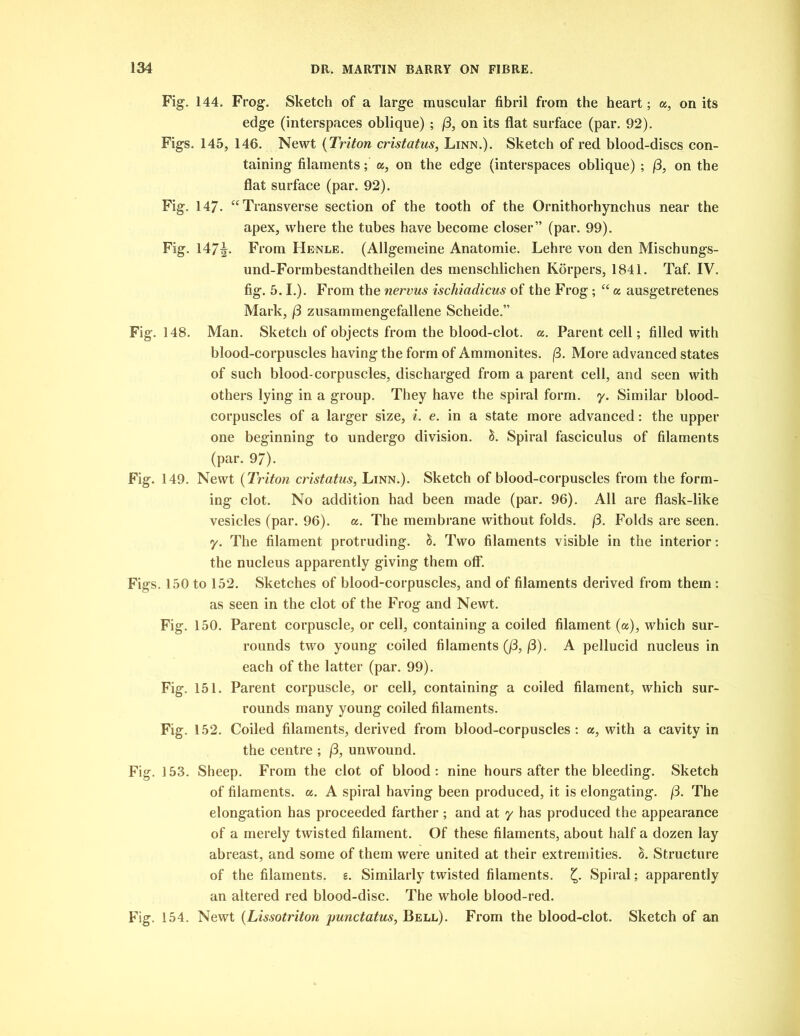 Fig. 144. Frog. Sketch of a large muscular fibril from the heart; a, on its edge (interspaces oblique) ; (3, on its flat surface (par. 92). Figs. 145, 146. Newt (Triton cristatus, Linn.). Sketch of red blood-discs con- taining filaments; a, on the edge (interspaces oblique) ; (3, on the flat surface (par. 92). Fig. 147. “Transverse section of the tooth of the Ornithorhynchus near the apex, where the tubes have become closer” (par. 99). Fig. 147^. From Henle. (Allgemeine Anatomie. Lehre von den Mischungs- und-Formbestandtheilen des menschlichen Korpers, 1841. Taf. IV. fig. 5.1.). From the nervus ischiadicus of the Frog; “ a ausgetretenes Mark, j3 zusammengefallene Scheide.” Fig. 148. Man. Sketch of objects from the blood-clot. a. Parent cell; filled with blood-corpuscles having the form of Ammonites. (3. More advanced states of such blood-corpuscles, discharged from a parent cell, and seen with others lying in a group. They have the spiral form. y. Similar blood- corpuscles of a larger size, i. e. in a state more advanced: the upper one beginning to undergo division, h. Spiral fasciculus of filaments (par. 97). Fig. 149. Newt (Triton cristatus, Linn.). Sketch of blood-corpuscles from the form- ing clot. No addition had been made (par. 96). All are flask-like vesicles (par. 96). a. The membrane without folds. (3. Folds are seen, y. The filament protruding. S. Two filaments visible in the interior: the nucleus apparently giving them off. Figs. 150 to 152. Sketches of blood-corpuscles, and of filaments derived from them : as seen in the clot of the Frog and Newt. Fig. 150. Parent corpuscle, or cell, containing a coiled filament (a), which sur- rounds two young coiled filaments ((3, (3). A pellucid nucleus in each of the latter (par. 99). Fig. 151. Parent corpuscle, or cell, containing a coiled filament, which sur- rounds many young coiled filaments. Fig. 152. Coiled filaments, derived from blood-corpuscles: a, with a cavity in the centre ; (3, unwound. Fig. 153. Sheep. From the clot of blood: nine hours after the bleeding. Sketch of filaments, a. A spiral having been produced, it is elongating. (3. The elongation has proceeded farther ; and at y has produced the appearance of a merely twisted filament. Of these filaments, about half a dozen lay abreast, and some of them were united at their extremities, d. Structure of the filaments, e. Similarly twisted filaments. Spiral; apparently an altered red blood-disc. The whole blood-red. Fig. 154. Newt (Lissotriton punctatus, Bell). From the blood-clot. Sketch of an