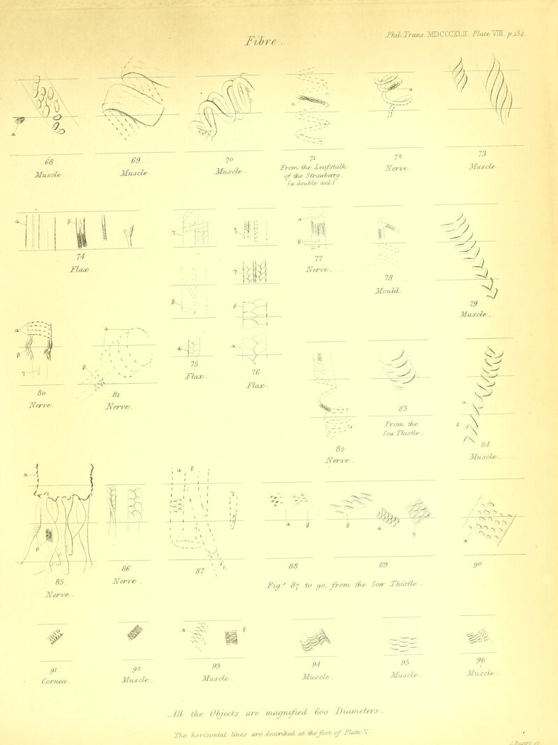 FkH.Trans..IdDCCGHLIE. FlateNSL. j>.xb4- V- JPrcnru -the/ L erf stride/ of the/ Strawberry. f a/ S/mFU/ ocril/) 72 Nerve/. n Musot/e-. /I''--.''! Nerve/. P, 81 Nerve/. 91 9* Cornea/ . Muscle/. 16 Flaw 16 Flaw. 78 MovM/. 83 From/ the/ Sow Thistle/. 82 Nerve/ ■ i 88 89 Fi-g f 1?7 to go', frcfm/ -the/ Sow Thistle/ . Muscle/. Muscle/. Muscle/. 79 - Muscle/. tr v-' # Musobe/. gfT «/ go 96 Mwscle/ ■ MU/ the/ Oijerbs are/ Tnagmfued/ 600 Diccmebers .