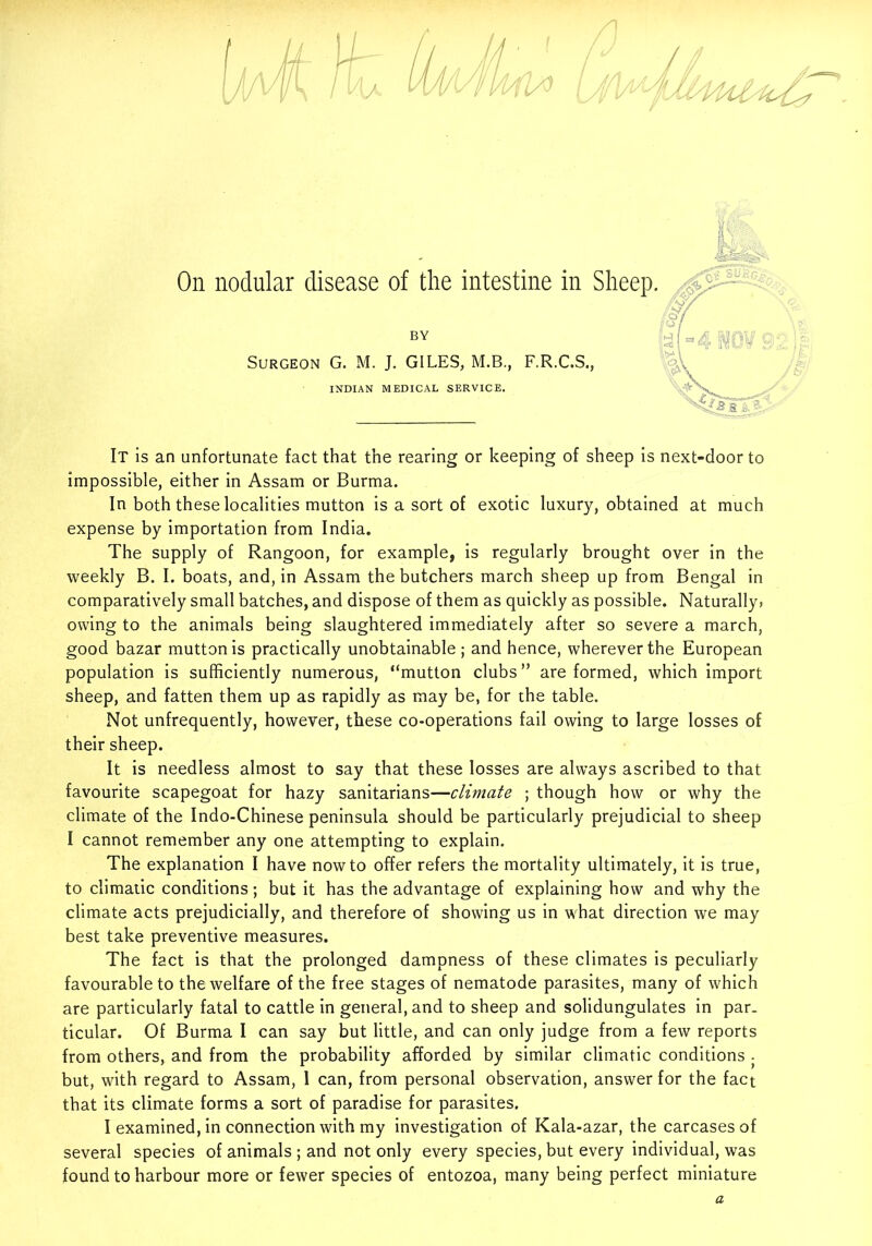On nodular disease of the intestine in Sheep, BY Surgeon G. M. J. GILES, M.B., F.R.C.S.j INDIAN MEDICAL SERVICE. It is an unfortunate fact that the rearing or keeping of sheep is next-door to impossible, either in Assam or Burma. In both these localities mutton is a sort of exotic luxury, obtained at much expense by importation from India. The supply of Rangoon, for example, is regularly brought over in the weekly B. I. boats, and, in Assam the butchers march sheep up from Bengal in comparatively small batches, and dispose of them as quickly as possible. Naturally, owing to the animals being slaughtered immediately after so severe a march, good bazar mutton is practically unobtainable; and hence, wherever the European population is sufficiently numerous, “mutton clubs” are formed, which import sheep, and fatten them up as rapidly as may be, for the table. Not unfrequently, however, these co-operations fail owing to large losses of their sheep. It is needless almost to say that these losses are always ascribed to that favourite scapegoat for hazy sanitarians—climate ; though how or why the climate of the Indo-Chinese peninsula should be particularly prejudicial to sheep I cannot remember any one attempting to explain. The explanation I have now to offer refers the mortality ultimately, it is true, to climatic conditions; but it has the advantage of explaining how and why the climate acts prejudicially, and therefore of showing us in what direction we may best take preventive measures. The fact is that the prolonged dampness of these climates is peculiarly favourable to the welfare of the free stages of nematode parasites, many of which are particularly fatal to cattle in general, and to sheep and solidungulates in par. ticular. Of Burma I can say but little, and can only judge from a few reports from others, and from the probability afforded by similar climatic conditions . but, with regard to Assam, 1 can, from personal observation, answer for the fact that its climate forms a sort of paradise for parasites. I examined, in connection with my investigation of Kala-azar, the carcases of several species of animals ; and not only every species, but every individual, was found to harbour more or fewer species of entozoa, many being perfect miniature