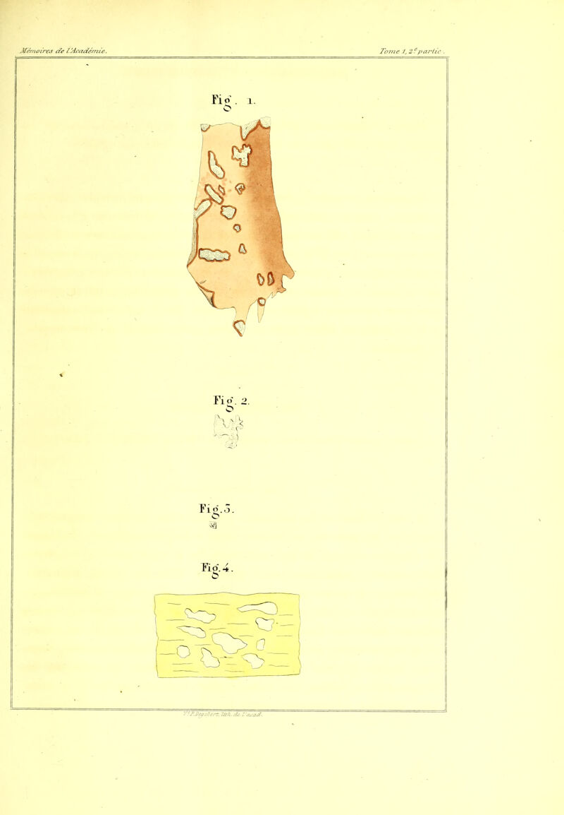 Tome 1,2 f paj’üc . Jfemozres de I^lcaeiémie. Fi o'. I. Fi O. 2. Fi 0,4