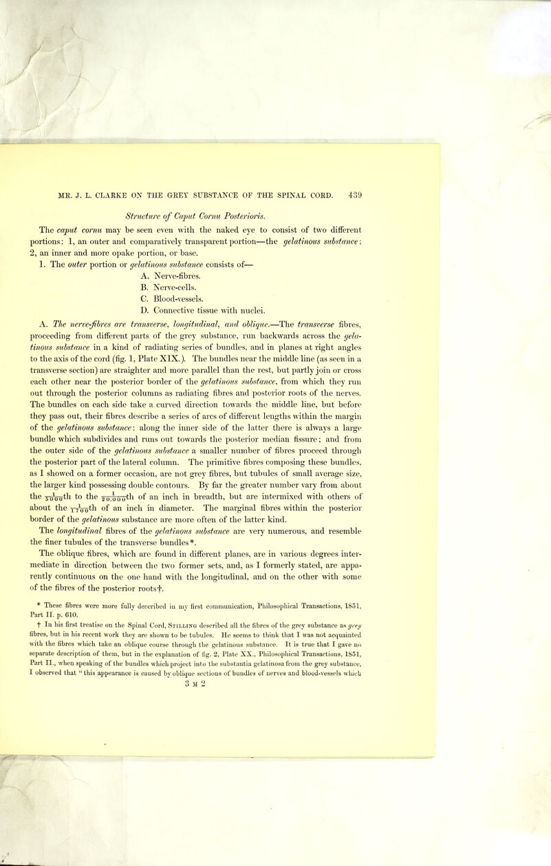 Structure of Caput Cornu Posterioris. The caput cornu may be seen even with the naked eye to consist of two different portions: 1, an outer and comparatively transparent portion—the gelatinous substance; 2, an inner and more opake portion, or base. 1. The outer portion or gelatinous substance consists of— A. Nerve-fibres. B. Nerve-cells. C. Blood-vessels. D. Connective tissue witli nuclei. A. The nerve-f bres are transverse, longitudinal, and obligue.—The transverse fibres, proceeding from different parts of the grey substance, run backwards across the gela- tinous substance in a kind of radiating series of bundles, and in planes at right angles to the axis of the cord (fig. 1, Plate XIX.). The bundles near the middle line (as seen in a transverse section) are straighter and more parallel than the rest, but partly join or cross each other near the posterior border of the gelatinous substance, from which they run out through the posterior columns as radiating fibres and posterior roots of the nerves. The bundles on each side take a curved direction towards the middle line, but before they pass out, their fibres describe a series of arcs of different lengths within the margin of the gelatinous substance: along the inner side of the latter there is always a large bundle which subdivides and runs out towards the posterior median fissure; and from the outer side of the gelatinous substance a smaller number of fibres proceed through the posterior part of the lateral column. The primitive fibres composing these bundles, as I showed on a former occasion, are not grey fibres, but tubules of small average size, the larger kind possessing double contours. By far the greater number vary from about the -go^ooth to the 20,000'^^^ of an inch in breadth, but are intermixed with others of about the of an inch in diameter. The marginal fibres within the posterior border of the gelatinous substance are more often of the latter kind. The longitudinal fibres of the gelatinous substance are very numerous, and resemble the finer tubules of the transverse bundles*. The oblique fibres, which are found in different planes, are in various degrees inter- mediate in dn-ection between the two former sets, and, as I formerly stated, are appa- rently continuous on the one hand with the longitudinal, and on the other \Wth some of the fibres of the posterior rootsf. * These fibres were more fully described iu my first commuuication, Philosophical Transactions, 1851, Part II. p. 610. f In his first treatise on the Spinal Cord, Stilling described all the fibres of the grey substance as grey fibres, but in his recent work they are shoivui to be tubules. He seems to think that I was not acquainted with the fibres which take an oblique course through the gelatinous substance. It is true that I gave no separate description of them, but in the explanation of fig. 2, Plate XX., Philosophical Transactions, 1851, Part II., when speaking of the bundles which project into the substantia gelatinosa from the grey substance, I observed that “ this appearance is caused by oblique sections of bundles of nerves and blood-vessels which 3 M 2