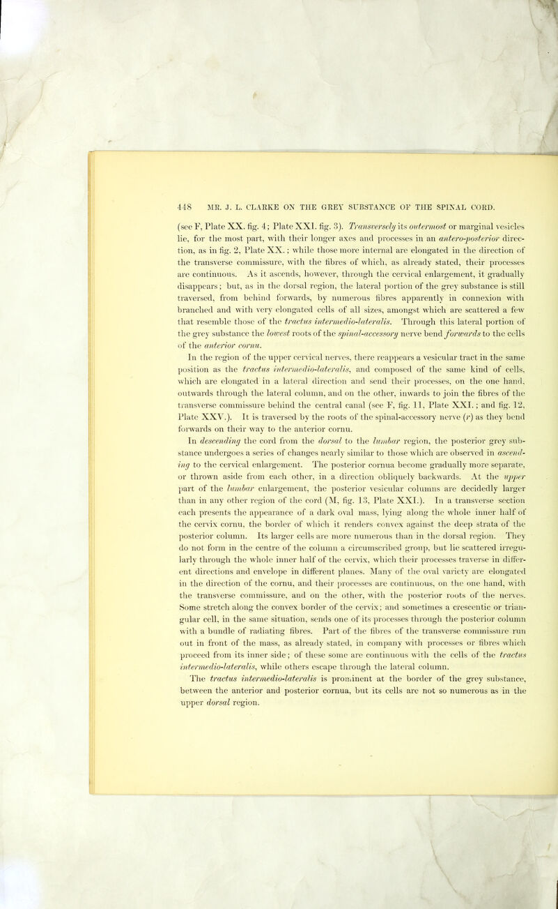 (see F, Plate XX. tig. 4; Plate XXI. fig. 3). Transversely its outermost or marginal vesicles lie, for the most part, with their longer axes and processes in an mitero-])Osterior direc- tion, as in fig. 2, Plate XX.; while those more internal are elongated in the direction of the transverse commissure, with the fibres of Avhich, as already stated, their processes are continuous. As it ascends, however, through the cervical enlargement, it gradually disappears; but, as in the dorsal region, the lateral portion of the grey substance is still traversed, from behind forwards, by numerous fibres apparently in connexion with branched and with very elongated cells of all sizes, amongst which are scattered a few that resemble those of the tractus intermedio-IateraUs. Through this lateral portion of the grey substance the lowest roots of the spinal-accessory nerve hewCi forwards to the cells of the anterior cornu. In the region of the upper cervical nerves, there reappears a vesicular tract in the same ])osition as the tractus intei'medio-lateralis, and composed of the same kind of cells, which are elongated in a lateral direction and send their processes, on the one hand, outwards through the lateral column, and on the other, inwards to join the fibres of the transverse commissure behind the central canal (see F, fig. 11, Plate XXI.; and fig. 12, Plate XXV.). It is traversed by the roots of the spinal-accessory nerve (r) as they bend forwards on their way to the anterior cornu. In descending the cord from the dorsal to the luinhar region, the posterior grey sub- stance undergoes a series of changes nearly similar to those which are observed in ascend- ing to the cervical enlargement. The posterior cornua become gradually more separate, or thrown aside from each other, in a direction obliquely backwards. At the upper })art of the lumbar enlargement, the posterior vesicular columns are decidedly larger than in any other region of the cord (M, fig. 13, Plate XXL). In a transverse section each presents the appearance of a dark oval mass, lying along the whole inner half of the cervix cornu, the border of which it renders convex against the deep strata of the posterior column. Its larger cells are more numerous than in the dorsal region. They do not form in the centre of the column a circumscribed group, but lie scattered irregu- larly through the whole inner half of the cervix, which their processes traverse in differ- ent directions and envelope in different planes. Many of tlie oval variety are elongated in the direction of the cornu, and their processes are continuous, on the one hand, with the transverse commissure, and on the other, with the ])osterior roots of the nerves. Some stretch along the convex border of the cervix; and sometimes a crescentic or trian- gular cell, in the same situation, sends one of its processes througli the posterior column with a bundle of radiating fibres. Part of the fibres of the transverse commissure run out in front of the mass, as already stated, in company with processes or fibres which proceed from its inner side; of these some are continuous with the cells of the tractus intermedio-lateralis, while others escape through the lateral column. The tractus intermedio-lateralis is prominent at the border of the grey substance, between the anterior and posterior cornua, but its cells are not so numerous as in the upper dorsal region.