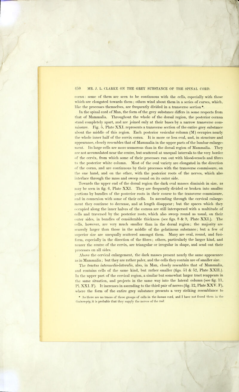 cornu: some of them are seen to be continuous with the cells, especially with those which are elongated towards them; others wind about them in a series of curves, which, like the processes themselves, are frequently divided in a transverse section*. In the spinal cord of Man, the form of the grey substance differs in some respects from tliat of Mammalia. Throughout the whole of the dorsal region, the posterior cornua stand completely apart, and are joined only at their bases by a narrow transverse com- missure. Fig. 5, Plate XXL represents a transverse section of the entire grey substance about the middle of this region. Each posterior vesicular column (M) occupies nearly the whole inner half of the cervix cornu. It is more or less oval, and, in structure and appearance, closely resembles that of Mammalia in the upper parts of the lumbar enlarge- ment. Its large cells are more numerous than in the dorsal region of Mammalia. They are not accumulated near the centre, but scattered at unequal intervals to the very border of the cer\ix, from which some of their processes run out with blood-vessels and fibres to the posterior white column. Most of the oval variety are elongated in the direction of the cornu, and are continuous by their processes with the transverse commissure, on the one hand, and on the other, with the posterior roots of the nerves, which also interlace through the mass and sweep round on its outer side. To’wards the upper end of the dorsal region the dark oval masses diminish in size, as may be seen in fig. 6, Plate XXI. They are frequently divided or broken into smaller portions by bundles of the posterior roots in their course to the transverse commissure, and in connexion with some of their cells. In ascending through the cervical enlarge- ment they continue to decrease, and at length disappear; but the spaces which they occupied along the inner halves of the cornua are still interspersed with a multitude of cells and traversed by the posterior roots, which also sweep round as usual, on their outer sides, in bundles of considerable thickness (see figs. 8 & 9, Plate XXI.). The cells, however, are very much smaller than in the dorsal region; the majority are scarcely larger than those in the middle of the gelatinous substance; but a few of superior size are unequally scattered amongst them. Many are oval, round, and fusi- form, especially in the direction of the fibres; others, particularly the larger kind, and nearer the centre of the cervix, are triangular or irregular in shape, and send out their processes on all sides. Above the cervical enlargement, the dark masses present nearly the same appearance as in Mammalia; but they are rather paler, and the cells they contain are of smaller size. I'he tractus intermedio-lateralis^ also, in Man, closely resembles that of Mammalia, and contains cells of the same kind, but rather smaller (figs. 51 & 52, Plate XXII.). In the upper part of the cervical region, a similar but somewhat larger tract reappears in the same situation, and projects in the same way into the lateral column (see fig. 11, PI. XXI. F). It increases in ascending to the third pair of nerves (fig. 12, Plate XXV. F), where the form of the entire grey substance presents a very striking resemblance to * As there are no traces of these groups of cells in the human cord, and I have not found them in the Guinea-pig, it is probable that they supply the nerves of the tail.