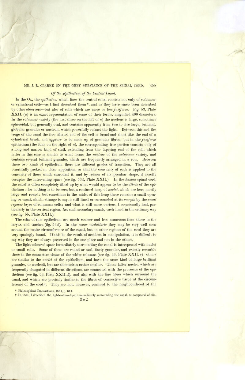 Of the Epithelium of the Central Canal. In the Ox, the epithelium which lines the central canal consists not only of columnar or cylindrical cells—as I first described them*, and as they have since been described by other observers—but also of cells which are more or fusiform. Fig. 53, Plate XXII. («) is an exact representation of some of their forms, magnified 400 diameters. In the columnar variety (the first three on the left of a) the nucleus is large, sometimes spheroidal, but generally oval, and contains apparently from two to five large, brilliant, globular granules or nucleoli, which powerfully refract the light. Between this and the verge of the canal the free ciliated end of the cell is broad and short like the end of a cylindrical brush, and appears to be made up of granular fibres; but in the f usiform epithelium (the four on the right of a), the corresponding free portion consists only of a long and narrow kind of stalk extending from the tapering end of the cell, which latter in this case is similar to what forms the nucleus of the columnar variety, and contains several brilliant granules, which are frequently arranged in a row. Between these two kinds of epithelium there are different grades of transition. They are all beautifully packed in close apposition, so that the convexity of each is applied to the concavity of those which surround it, and by reason of its peculiar shape, it exactly occupies the intervening space (see fig. 53 Z», Plate XXII.). In the human spinal cord, the canal is often completely filled up by what would appear to be the debris of the epi- thelium ; for nothing is to be seen but a confused heap of nuclei, which are here mostly large and round: but sometimes in the midst of this heap there remains a small open- ing or canal, which, strange to say, is still lined or surrounded at its margin by the usual regular layer of columnar cells; and what is still more curious, I occasionally find, par- ticularly in the cervical region, two such secondary canals, each lined in the ordinary way (see fig. 55, Plate XXII.}. The cilia of this epithelium are much coarser and less numerous than those in the larynx and trachea (fig. 53 i). In the conus medullaris they may be very well seen around the entire circumference of the canal, but in other regions of the cord they are very sparingly found. If this be the result of accident in manipulation, it is difficult to say why they are always presen ed in the one place and not in the others. The light-coloured space immediately surrounding the canal is interspersed with nuclei or small cells. Some of these are round or oval, finely granular, and exactly resemble those in the connective tissue of the white columns (see fig. 46, Plate XXII. c); others are similar to the nuclei of the epithelium, and have the same kind of large brilliant granules, or nucleoli, but are themselves rather smaller. These latter nuclei, which are frequently elongated in different directions, are connected with the processes of the epi- thelium (see fig. 53, Plate XXII. b), and also with the fine fibres which surround the canal, and which are precisely similar to the fibres of connective tissue at the circum- ference of the cordf. They are not, however, confined to the neighbourhood of the * Philosophical Transactions, 1851, p. Gil. t In 1851, I described the light-coloured part immediately surrounding the canal, as composed of tila- 3o2