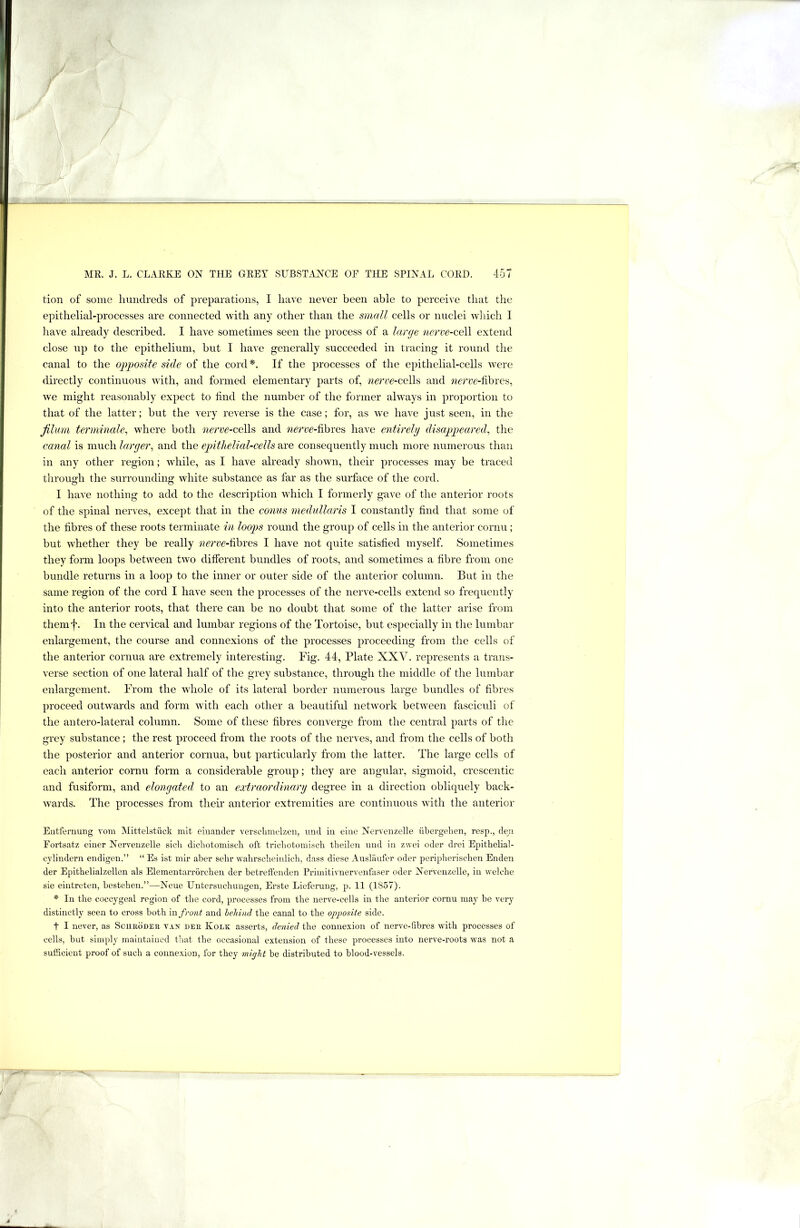 tion of some liiiiidreds of preparations, I have never been able to perceive that tlie epithelial-processes are connected with any other than the small cells or nuclei which 1 have already described. I have sometimes seen the process of a large nerve-ceW extend close up to the epithelium, but I have generally succeeded in tracing it round the canal to the opgwsite side of the cord*. If the processes of the epithelial-cells were directly continuous with, and formed elementary parts of, nerre-ceWs and wcrcc-fibres, we might reasonably expect to tind the number of the former always in proportion to that of the latter; but the very reverse is the case; for, as we have just seen, in the Jilum teryninale, where both nerve-ceW^ and wercc-fibres have entirely disappeared, the canal is mwc\\ larger, and i\\e epithelial-cells ?rre consequently much more numerous than in any other region; while, as I have already shown, their processes may be traced through the surrounding white substance as far as the surface of the cord. I have nothing to add to the description which I formerly gave of the anterior roots of the spinal nerves, except that in the conus niedullaris I constantly tind that some of the fibres of these roots terminate in loops round the group of cells in the anterior cornu; but whether they be really ?2<?rre-fibres I have not quite satisfied myself. Sometimes they form loops between two different bundles of roots, and sometimes a fibre from one bundle returns in a loop to the inner or outer side of the anterior column. But in the same region of the cord I have seen the processes of the nerve-cells extend so frequently into the anterior roots, that there can be no doubt that some of the latter arise from themf. In the cervical and lumbar regions of the Tortoise, but especially in the lumbar enlargement, the course and connexions of the processes proceeding from the cells of the anterior cornua are extremely interesting. Fig. 44, Plate XXV. represents a trans- verse section of one lateral half of the grey substance, through the middle of the lumbar enlargement. From the whole of its lateral border numerous large bundles of fibres proceed outwards and form with each other a beautiful network between fasciculi of the antero-lateral column. Some of these fibres converge from the central parts of the grey substance ; the rest proceed from the roots of the nerves, and from the cells of both the posterior and anterior cornua, but particularly from the latter. The large cells of each anterior cornu form a considerable group; they are angular, sigmoid, crescentic and fusiform, and elongated to an extraordinary degree in a direction obliquely back- wards. The processes from their anterior extremities are continuous with the anterior Eutferiiung vom Mittelstiick mit einander verscbmelzen, und in eiiie Nervenzelle iibergelien, resp., deu Fortsatz eiuer Nervenzelle sicli dichotomiscli oft tricliotomisch theilen nnd in zwei oder drei Epithelial- cyliudern endigen.” “ Es ist mir aber sehr walirscheinlich, dass diese Ausliinfer oder periplierisclien Enden der Epithelialzellen als Elemeutarrorcheii der betreffenden Primitivnervenfaser oder Nervenzelle, in welche sie eintreten, besteben.”—Neue IJntersuchimgen, Erste Lieferuug, p. 11 (1857). * In the coccygeal region of the cord, processes from the nerve-cells in the anterior cornu may be very distinctly seen to cross both m front and behind the canal to the opposite side. t I never, as Scurodeq tax dee, Koek asserts, denied the connexion of nerve-fibres with processes of cells, but simply maintaiued that the occasional extension of these processes into nerve-roots was not a sufficient proof of such a connexion, for they might be distributed to blood-vessels. t