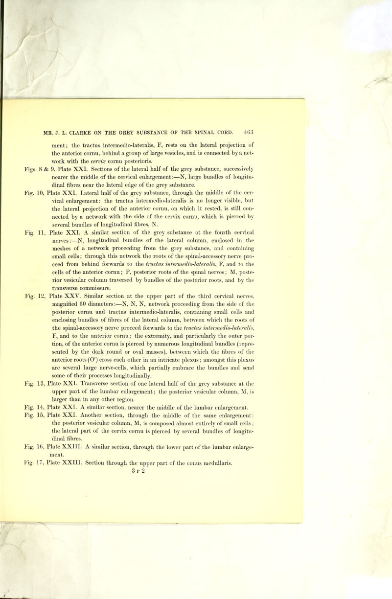 ment; the tractus intermedio-lateralis, F, rests on the lateral projection of the anterior cornu, behind a group of large vesicles, and is connected by a net- work with the cervix cornu posterioris. Figs. 8 «& 9, Plate XXI. Sections of the lateral half of the grey substance, successively nearer the middle of the cervical enlargement:—N, large bundles of longitu- dinal fibres near the lateral edge of the grey substance. Fig. 10, Plate XXI. Lateral half of the grey substance, through the middle of the cer- vical enlargement: the tractus intermedio-lateralis is no longer visible, but the lateral projection of the anterior cornu, on which it rested, is still con- nected by a network with the side of the cervix cornu, which is pierced b} several bundles of longitudinal fibres, N. Fig. 11, Plate XXI. A similar section of the grey substance at the fourth cervical nerves:—N, longitudinal bundles of the lateral column, enclosed in the meshes of a network proceeding from the grey substance, and containing small cells; through this network the roots of the spinal-accessory nerve pro- ceed from behind forwards to the tractus intermedio-lateralis, F, and to the cells of the anterior cornu; P, posterior roots of the spinal neiwes; M, poste- rior vesicular column traversed by bundles of the posterior roots, and by the transverse commissme. Fig. 12, Plate XXV. Similar section at the upper part of the third cervical nerves, magnified 60 diameters:—N, N, N, network proceeding from the side of the posterior cornu and tractus intermedio-lateralis, containing small cells and enclosing bundles of fibres of the lateral column, between which the roots of the spinal-accessory nerve proceed fonvards to the tractus intermedio-lateralis, F, and to the anterior coniu; the extremity, and particularly the outer por- tion, of the anterior cornu is pierced by numerous longitudinal bundles (repre- sented by the dark round or oval masses), between which the fibres of the anterior roots (O') cross each other in an intricate plexus; amongst this plexus are several large nerve-cells, which partially embrace the bundles and send some of their processes longitudinally. Fig. 13, Plate XXI. Transverse section of one lateral half of the grey substance at the upper part of the lumbar enlargement; the posterior vesicular column, M, is larger than in any other region. Fig. 14, Plate XXI. A similar section, nearer the middle of the lumbar enlargement. Fig. 15, Plate XXI. Another section, through the middle of the same enlargement: the posterior vesicular column, M, is composed almost entirely of small cells; the lateral part of the cervix cornu is pierced by several bundles of longitu- dinal fibres. Fig. 16, Plate XXIII. A similar section, through the lower part of the lumbar enlarge- ment. Fig. 17, Plate XXIII. Section through the upper part of the conus medullaris. 3p 2