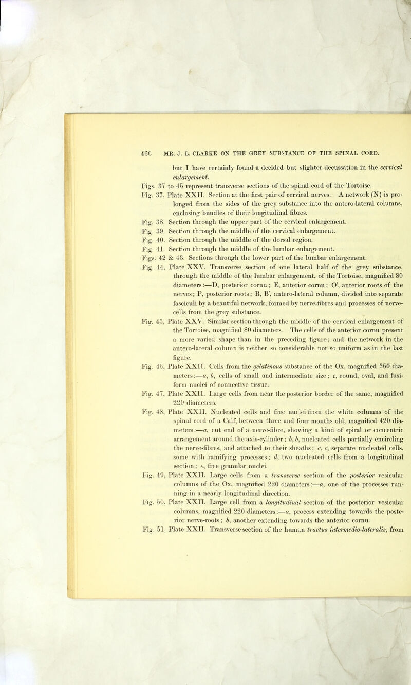 but I have certainly found a decided but slighter decussation in the cervical enlargement. Figs. 37 to 45 represent transverse sections of the spinal cord of the Tortoise. Fig. 37, Plate XXII. Section at the first pair of cervical nerves. A network (N) is pro- longed from the sides of the grey substance into the antero-lateral columns, enclosing bundles of their longitudinal fibres. Fig. 38. Section through the upper part of the cervical enlargement. Fig. 39. Section through the middle of the ceiwical enlargement. Fig. 40. Section through the middle of the dorsal region. Fig. 41. Section through the middle of the lumbar enlargement. Figs. 42 & 43. Sections through the lower part of the lumbar enlargement. Fig. 44, Plate XXV. Transverse section of one lateral half of the grey substance, through the middle of the lumbar enlargement, of the Tortoise, magnified 80 diameters:—D, posterior cornu; E, anterior cornu; O', anterior roots of the nerves; P, posterior roots; B, B', antero-lateral column, divided into separate fasciculi by a beautiful network, formed by nerve-fibres and processes of nerve- cells from the grey substance. Fig. 45, Plate XXV. Similar section through the middle of the cervical enlargement of the Tortoise, magnified 80 diameters. The cells of the anterior cornu present a more varied shape than in the preceding figure; and the network in the antero-lateral column is neither so considerable nor so uniform as in the last figure. Fig. 46, Plate XXII. Cells from the gelatinous substance of the Ox, magnified 350 dia- meters :—a, h, cells of small and intermediate size; c, round, oval, and fusi- form nuclei of connective tissue. Fig. 47, Plate XXII. Large cells from near the posterior border of the same, magnified 220 diameters. Fig. 48, Plate XXII. Nucleated cells and free nuclei from the white columns of the spinal cord of a Calf, between three and four months old, magnified 420 dia- meters :—a, cut end of a nerve-fibre, showing a kind of spiral or concentric arrangement around the axis-cylinder; h, b, nucleated cells partially encircling the nerve-fibres, and attached to their sheaths; c, c, separate nucleated cells, some with ramifying processes; d, two nucleated cells from a longitudinal section; e, free granular nuclei. Fig. 49, Plate XXII. Large cells from a transverse section of the 'posterior vesicular columns of the Ox, magnified 220 diameters:—a, one of the processes run- ning in a nearly longitudinal direction. Fig. 50, Plate XXII. Large cell from a longitudmal section of the posterior vesicular columns, magnified 220 diameters:—a, process extending towards the poste- rior nerve-roots; J, another extending towards the anterior cornu. Fig. 51, Plate XXII. Transverse section of the human tractus intermedio-lateralis, from 1 \