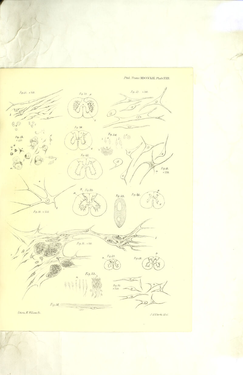 Ptdl. Trans. MDCa’LIX.fi^<?A'Xn. S duH/rvJK WUHoAM, S c. J X CLm^A, X>&i.