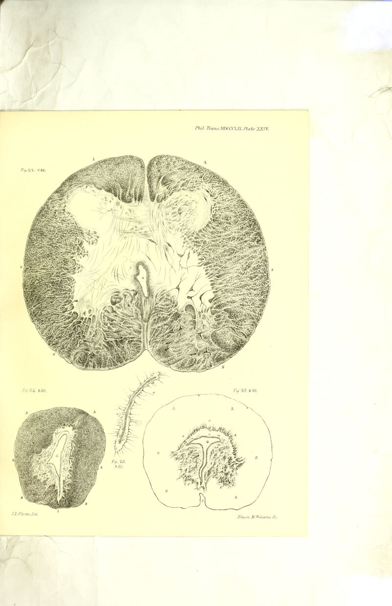 r Fhjl. Trajuy.WdZCCA:^.PUiT:e XSIV,