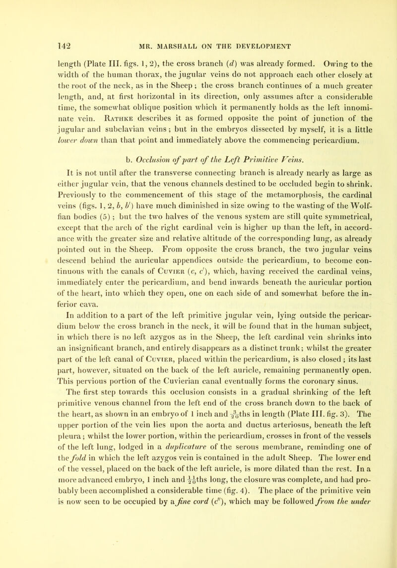 length (Plate III. figs. 1, 2), the cross branch (d) was already formed. Owing to the width of the human thorax, the jugular veins do not approach each other closely at the root of the neck, as in the Sheep ; the cross branch continues of a much greater length, and, at first horizontal in its direction, only assumes after a considerable time, the somewhat oblique position which it permanently holds as the left innomi- nate vein. Rathke describes it as formed opposite the point of junction of the jugular and subclavian veins ; but in the embryos dissected by myself, it is a little lower down than that point and immediately above the commencing pericardium. b. Occlusion of part of the Left Primitive Veins. It is not until after the transverse connecting branch is already nearly as large as either jugular vein, that the venous channels destined to be occluded begin to shrink. Previously to the commencement of this stage of the metamorphosis, the cardinal veins (figs. 1, 2, h, b') have much diminished in size owing to the wasting of the Wolf- fian bodies (5); but the two halves of the venous system are still quite symmetrical, except that the arch of the right cardinal vein is higher up than the left, in accord- ance with the greater size and relative altitude of the corresponding lung, as already pointed out in the Sheep. From opposite the cross branch, the two jugular veins descend behind the auricular appendices outside the pericardium, to become con- tinuous with the canals of Cuvier (c, c'), which, having received the cardinal veins, immediately enter the pericardium, and bend inwards beneath the auricular portion of the heart, into which they open, one on each side of and somewhat before the in- ferior cava. In addition to a part of the left primitive jugular vein, lying outside the pericar- dium below the cross branch in the neck, it will be found that in the human subject, in which there is no left azygos as in the Sheep, the left cardinal vein shrinks into an insignificant branch, and entirely disappears as a distinct trunk; whilst the greater part of the left canal of Cuvier, placed within the pericardium, is also closed ; its last part, however, situated on the back of the left auricle, remaining permanently open. This pervious portion of the Cuvierian canal eventually forms the coronary sinus. The first step towards this occlusion consists in a gradual shrinking of the left primitive venous channel from the left end of the cross branch down to the back of the heart, as shown in an embryo of 1 inch and -^ths in length (Plate III. fig. 3). The upper portion of the vein lies upon the aorta and ductus arteriosus, beneath the left pleura; whilst the lower portion, within the pericardium, crosses in front of the vessels of the left lung, lodged in a duplicature of the serous membrane, reminding one of the fold in which the left azygos vein is contained in the adult Sheep. The lower end of the vessel, placed on the back of the left auricle, is more dilated than the rest. In a more advanced embryo, 1 inch and y^ths long, the closure was complete, and had pro- bably been accomplished a considerable time (fig. 4). The place of the primitive vein is now seen to be occupied by a fine cord (c), which may be followed from the under