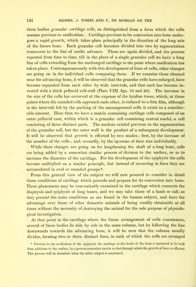 these bodies granular cartilage cells, as distinguished from a form which the cells assume previous to ossification. Cartilage previous to its conversion into bone under- goes a rapid growth, which takes place principally in the direction of the long axis of the future bone. Each granular cell becomes divided into two by segmentation transverse to the line of ossific advance. These are again divided, and the process repeated from time to time, till in the place of a single granular cell we have a long line of cells extending from the unchanged cartilage to the point where ossification has taken place. Contemporaneously with this development of lines of cells, other changes are going on in the individual cells composing them. If we examine those situated near the advancing bone, it will be observed that the granular cells have enlarged, have become separated from each other by wide intervals, and that each has become in- vested with a thick pellucid cell-wall (Plate VIII. figs. 19 and 20). The increase in the size of the cells has occurred at the expense of the hyaline tissue, which, at those points where the rounded cells approach each other, is reduced to a thin film, although in the intervals left by the packing of the uncompressed cells it exists to a consider- able amount. Here then we have a matrix containing cartilage cells composed of an outer pellucid coat, within which is a granular cell containing central nuclei, a cell consisting of three distinct parts. The nucleus existed previous to the segmentation of the granular cell, but the outer wall is the product of a subsequent development. It will be observed that growth is effected by two modes; first, by the increase of the number of the cells ; and, secondly, by the increase of their size individually. While these changes are going on for lengthening the shaft of a long bone, cells are being added by a somewhat similar process of division to the surface, so as to increase the diameter of the cartilage. For the development of the epiphysis the cells become multiplied on a similar principle, but instead of occurring in lines they are accumulated in oval or rounded groups*. From this general view of the subject we will now proceed to consider in detail those conditions of cartilage which precede and prepare for its conversion into bone. These phenomena may be conveniently examined in the cartilage which connects the diaphysis and epiphysis of long bones, and we may take those of a lamb or calf, as they present the same conditions as are found in the human subject, and have the advantage over those of other domestic animals of being readily obtainable at all times without the necessity of destroying the animal for the sole purpose of physiolo- gical investigation. At that point in the cartilage where the linear arrangement of cells commences, several of these bodies lie side by side in the same column, but by following the line downwards towards the advancing bone, it will be seen that the column usually divides, forming two or three distinct lines, in each of which the cells are arranged * Previous to the ossification of the epiphysis the cartilage at the heads of the bone is increased in its bulk from additions to the surface, by a process somewhat similar to that through which the growth of bone is effected. This process will be described when the latter subject is considered.