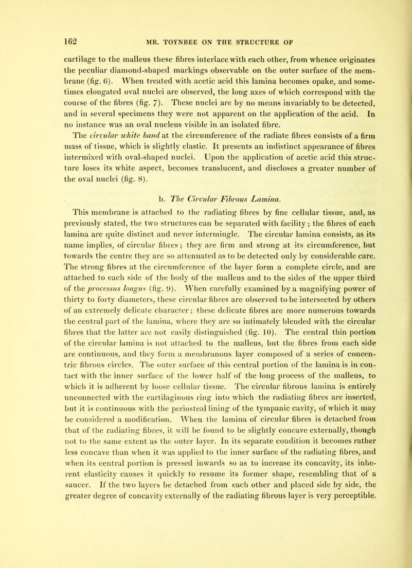 cartilage to the malleus these fibres interlace with each other, from whence originates the peculiar diamond-shaped markings observable on the outer surface of the mem- brane (fig. 6). When treated with acetic acid this lamina becomes opake, and some- times elongated oval nuclei are observed, the long axes of which correspond with the course of the fibres (fig. 7)- These nuclei are by no means invariably to be detected, and in several specimens they were not apparent on the application of the acid. In no instance was an oval nucleus visible in an isolated fibre. The circular white hand at the circumference of the radiate fibres consists of a firm mass of tissue, which is slightly elastic. It presents an indistinct appearance of fibres intermixed with oval-shaped nuclei. Upon the application of acetic acid this struc- ture loses its white aspect, becomes translucent, and discloses a greater number of the oval nuclei (fig. 8). b. Tice Circular Fibrous Lamina. This membrane is attached to the radiating fibres by fine cellular tissue, and, as previously stated, the two structures can be separated with facility; the fibres of each lamina are quite distinct and never intermingle. The circular lamina consists, as its name implies, of circular fibres; they are firm and strong at its circumference, but towards the centre they are so attenuated as to be detected only by considerable care. The strong fibres at the circumference of the layer form a complete circle, and are attached to each side of the body of the malleus and to the sides of the upper third of the processus longus (fig. 9). When carefully examined by a magnifying power of thirty to forty diameters, these circular fibres are observed to be intersected by others of an extremely delicate character; these delicate fibres are more numerous towards the central part of the lamina, where they are so intimately blended with the circular fibres that the latter are not easily distinguished (fig. 10). The central thin portion of the circular lamina is not attached to the malleus, but the fibres from each side are continuous, and they form a membranous layer composed of a series of concen- tric fibrous circles. The outer surface of this central portion of the lamina is in con- tact with the inner surface of the lower half of the long process of the malleus, to which it is adherent by loose cellular tissue. The circular fibrous lamina is entirely unconnected with the cartilaginous ring into which the radiating fibres are inserted, but it is continuous with the periosteal lining of the tympanic cavity, of which it may be considered a modification. When the lamina of circular fibres is detached from that of the radiating fibres, it will be found to be slightly concave externally, though not to the same extent as the outer layer. In its separate condition it becomes rather less concave than when it was applied to the inner surface of the radiating fibres, and when its central portion is pressed inwards so as to increase its concavity, its inhe- rent elasticity causes it quickly to resume its former shape, resembling that of a saucer. If the two layers be detached from each other and placed side by side, the greater degree of concavity externally of the radiating fibrous layer is very perceptible.