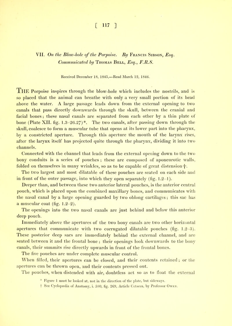 VII. On the Blow-hole of the Porpoise. By Francis Sibson, Esq. Communicated by Thomas Bell, Esq., F.R.S. Received December 18, 1845,—Read March 12, 1846. The Porpoise inspires through the blow-hole which includes the nostrils, and is so placed that the animal can breathe with only a very small portion of its head above the water. A large passage leads down from the external opening to two canals that pass directly downwards through the skull, between the cranial and facial bones; these nasal canals are separated from each other by a thin plate of bone (Plate XII. fig. 1.3-26.27)*. The two canals, after passing down through the skull, coalesce to form a muscular tube that opens at its lower part into the pharynx, by a constricted aperture. Through this aperture the mouth of the larynx rises, after the larynx itself has projected quite through the pharynx, dividing it into two channels. Connected with the channel that leads from the external opening down to the two bony conduits is a series of pouches ; these are composed of aponeurotic walls, folded on themselves in many wrinkles, so as to be capable of great distension'f~. The tv/o largest and most dilatable of these pouches are seated on each side and in front of the outer passage, into which they open separately (fig. 1.2-1). Deeper than, and between these two anterior lateral pouches, is the anterior central pouch, which is placed upon the combined maxillary bones, and communicates with the nasal canal by a large opening guarded by two oblong cartilages; this sac has a muscular coat (fig. 1.2-2). The openings into the two nasal canals are just behind and below this anterior deep pouch. Immediately above the apertures of the two bony canals are two other horizontal apertures that communicate with two corrugated dilatable pouches (fig. 1.2-3). These posterior deep sacs are immediately behind the external channel, and are seated between it and the frontal bone ; their openings look downwards to the bony canals, their summits rise directly upwards in front of the frontal bones. The five pouches are under complete muscular control. When filled, their apertures can be closed, and their contents retained ; or the apertures can be thrown open, and their contents pressed out. The pouches, when distended with air, doubtless act so as to float the external * Figure 1 must be looked at, not in the direction of the plate, hut sideways, f See CyclopEedia of Anatomy, i. 580, fig. 269, Article Cetacea, by Professor Owen.