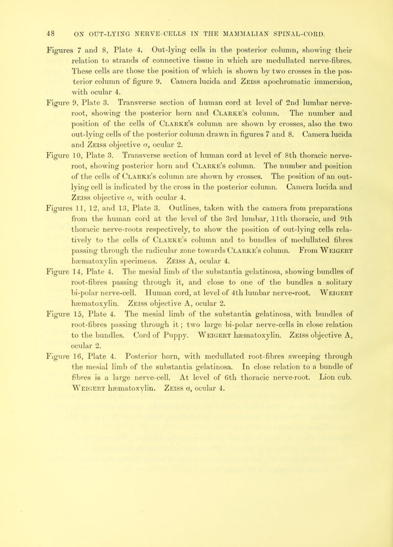 Figures 7 and 8, Plate 4. Out-lying cells in the posterior column, showing their relation to sti'ands of connective tissue in which are medullated nerve-fibres. These cells are those the position of which is shown by two crosses in the pos- terior column of figure 9. Camera lucida and Zeiss apochromatic immersion, with ocular 4. Figure 9, Plate 3. Transverse section of human cord at level of 2nd lumbar nerve- root, showing the posterior horn and Clarke’s column. The number and position of the cells of Clarke’s column are shown by crosses, also the two out-lying cells of the posterior column drawn in figures 7 and 8. Camera lucida and Zeiss objective a, ocular 2. Figure 10, Plate 3. Transverse section of human cord at level of 8th thoracic nerve- root, showing posterior horn and Clarke’s column. The number and position of the cells of Clarke’s column are shown by crosses. The position of an out- lying cell is indicated by the cross in the posterior column. Camera lucida and Zeiss objective o, with ocular 4. Figures 11, 12, and 13, Plate 3. Outlines, taken with the camera from preparations from the human cord at the level of the 3rd lumbar, .11th thoracic, and 9th thoracic nerve-roots respectively, to show the position of out-lying cells rela- tively to the cells of Clarke’s column and to bundles of medullated fibres passing through the radicular zone tow^ards Clarke’s column. From Weigert haematoxylin specimens. Zeiss A, ocular 4. Figure 14, Plate 4. The mesial limb of the substantia gelatinosa, showing bundles of root-fibres passing through it, and close to one of the bundles a solitary bi-polar nerve-cell. Human cord, at level of 4th lumbar nerve-root. Weigert hsematoxylin. Zeiss objective A, ocular 2, Figure 15, Plate 4. The mesial limb of the substantia gelatinosa, with bundles of root-fibres passing through it; two large bi-polar nerve-cells in close relation to the bundles. Cord of Puppy. Weigert haematoxylin. Zeiss objective A, ocular 2. Figure 16, Plate 4. Posterior horn, with medullated root-fibres sweeping through the mesial limb of the substantia gelatinosa. In close relation to a bundle of fibres is a large nerve-cell. At level of 6th thoracic nerve-root. Lion cub. Weigert hasmatoxylin. Zeiss a, ocular 4.
