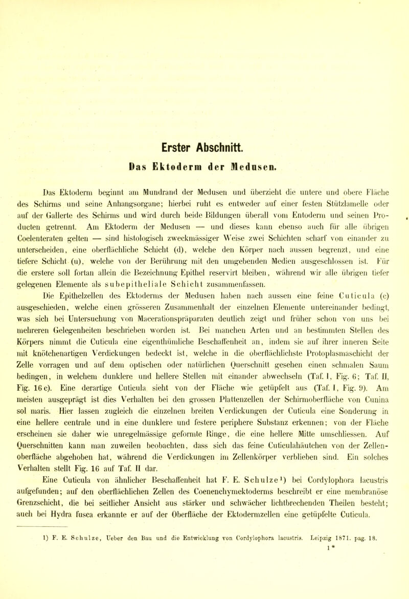 Erster Abschnitt. Das Ektoderm der Medusen. Das Ektoderm beginnt am Mundrand der Medusen und überzieht die untere und obere Fläche des Schirms und seine Anhangsorgane; hierbei ruht es entweder auf einer festen Stützlamelle oder auf der Gallerte des Schirms und wird durch beide Bildungen überall vom Entoderm und seinen Pro- dueten getrennt. Am Ektoderm der Medusen — und dieses kann ebenso auch für alle übrigen Coelenteraten gelten — sind histologisch zweckmässiger Weise zwei Schichten scharf von einander zu unterscheiden, eine oberflächliche Schicht (d), welche den Körper nach aussen begrenzt, und eine tiefere Schicht (u), welche von der Berührung mit den umgebenden Medien ausgeschlossen ist. Für die erstere soll fortan allein die Bezeichnung Epithel reservirt bleiben, während wir alle übrigen tiefer gelegenen Elemente als subepitheliale Schicht zusammenfassen. Die Epithelzellen des Ektoderms der Medusen haben nach aussen eine feine Cuticula (c) ausgeschieden, welche einen grösseren Zusammenhalt der einzelnen Elemente untereinander bedingt, was sich bei Untersuchung von Macerationspräparaten deutlich zeigt und früher schon von uns bei mehreren Gelegenheiten beschrieben worden ist. Bei manchen Arten und an bestimmten Stellen des Körpers nimmt die Cuticula eine eigenthümliche Beschaffenheit an, indem sie auf ihrer inneren Seite mit knötchenartigen Verdickungen bedeckt ist, welche in die oberflächlichste Protoplasmaschicht der Zelle vorragen und auf dem optischen oder natürlichen Querschnitt gesehen einen schmalen Saum bedingen, in welchem dunklere und hellere Stellen mit einander abwechseln (Taf. I, Fig. 6; Taf. II, Fig. 16 c). Eine derartige Cuticula sieht von der Fläche wie getüpfelt aus (Taf. I, Fig. 9). Am meisten ausgeprägt ist dies Verhalten bei den grossen Plattenzellen der Schirmoberfläche von Cunina sol maris. Hier lassen zugleich die einzelnen breiten Verdickungen der Cuticula eine Sonderung in eine hellere centrale und in eine dunklere und festere periphere Substanz erkennen; von der Fläche erscheinen sie daher wie unregelmässige geformte Ringe, die eine hellere Mitte umschliessen. Auf Querschnitten kann man zuweilen beobachten, dass sich das feine Cuticulahäutchen von der Zellen- oberfläche abgehoben hat, während die Verdickungen im Zellenkörper verblieben sind. Ein solches Verhalten stellt Fig. 16 auf Taf. II dar. Eine Cuticula von ähnlicher Beschaffenheit hat F. E. Schulze* 1) bei Cordylophora lacustris aufgefunden; auf den oberflächlichen Zellen des Coenenchymektoderms beschreibt er eine membranöse Grenzschicht, die bei seitlicher Ansicht aus stärker und schwächer lichtbrechenden Theilen besteht; auch bei Hydra fusca erkannte er auf der Oberfläche der Ektodermzellen eine getüpfelte Cuticula. 1) F. E. Schulze, Ueber den Bau und die Entwicklung von Cordylophora lacustris. Leipzig 1871. pag. 18.